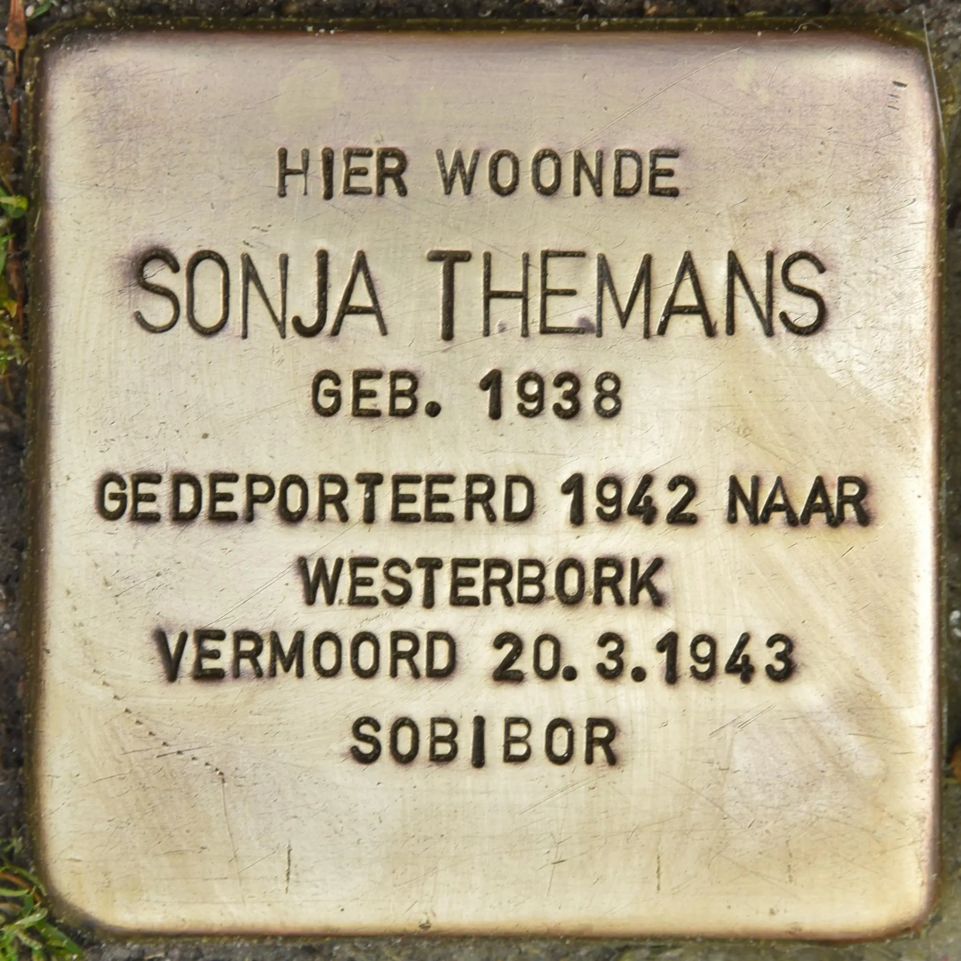 Struikelsteen voor Sonja Themans