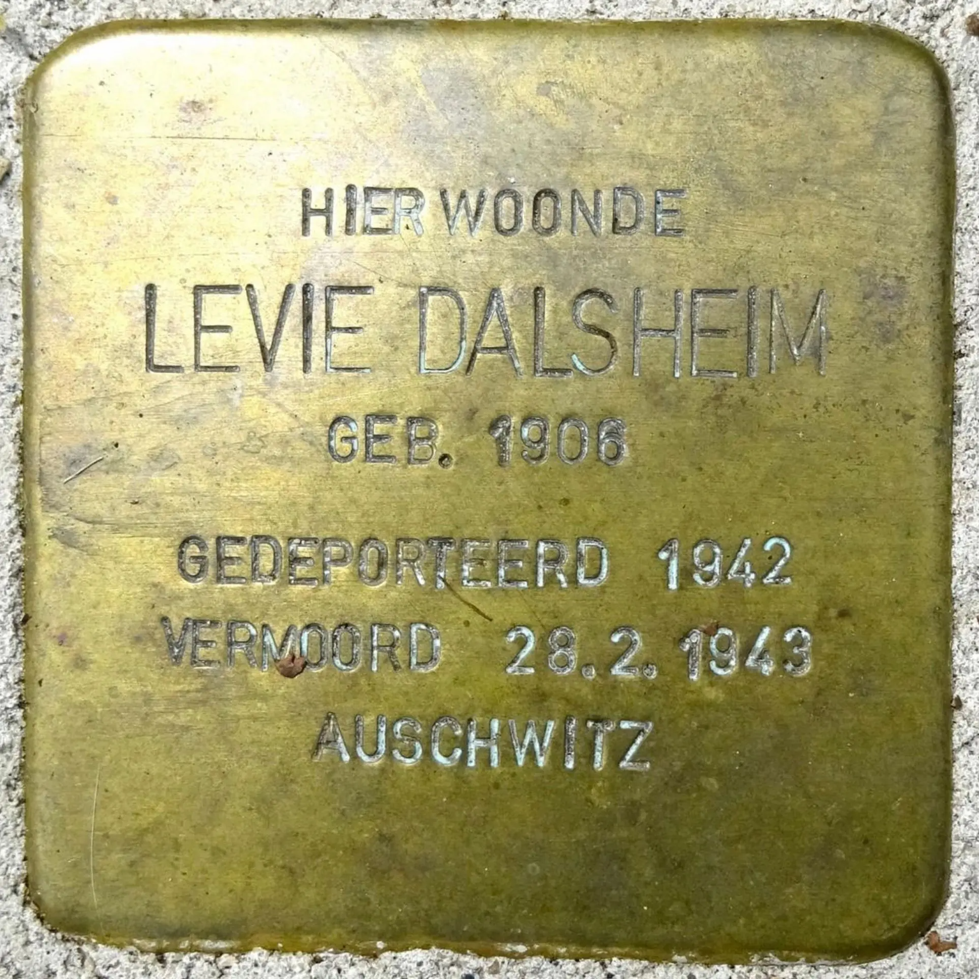 Struikelsteen voor Levie Dalsheim