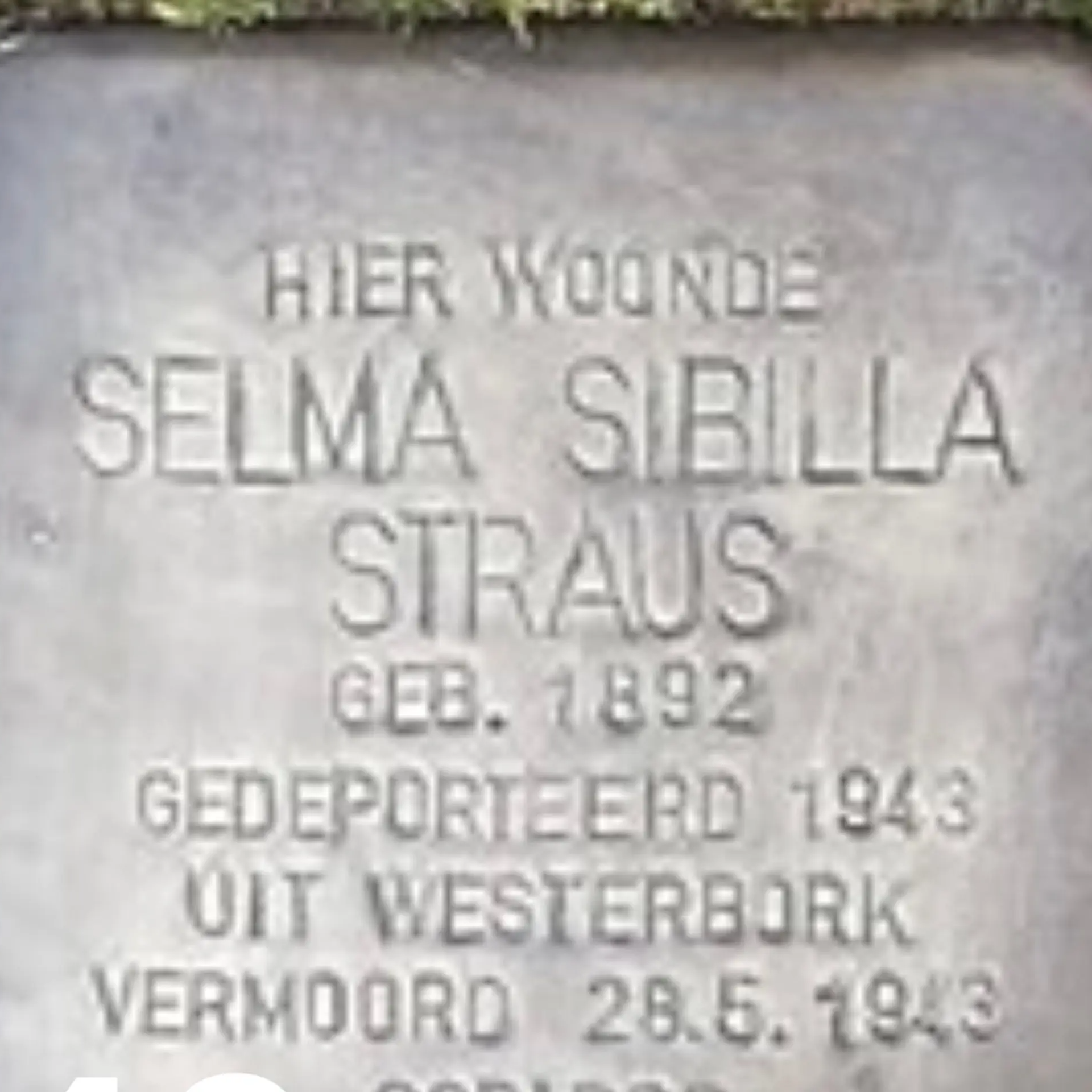 Struikelsteen voor Selma Sibilla Straus