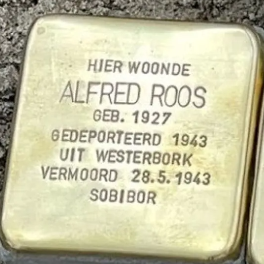 Struikelsteen voor Alfred Roos