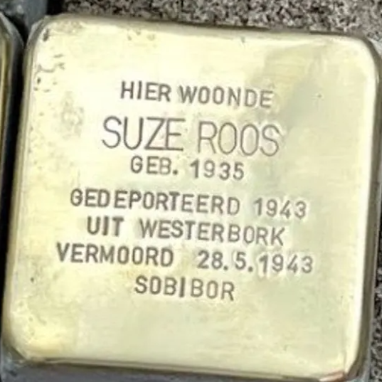 Struikelsteen voor Suze Roos