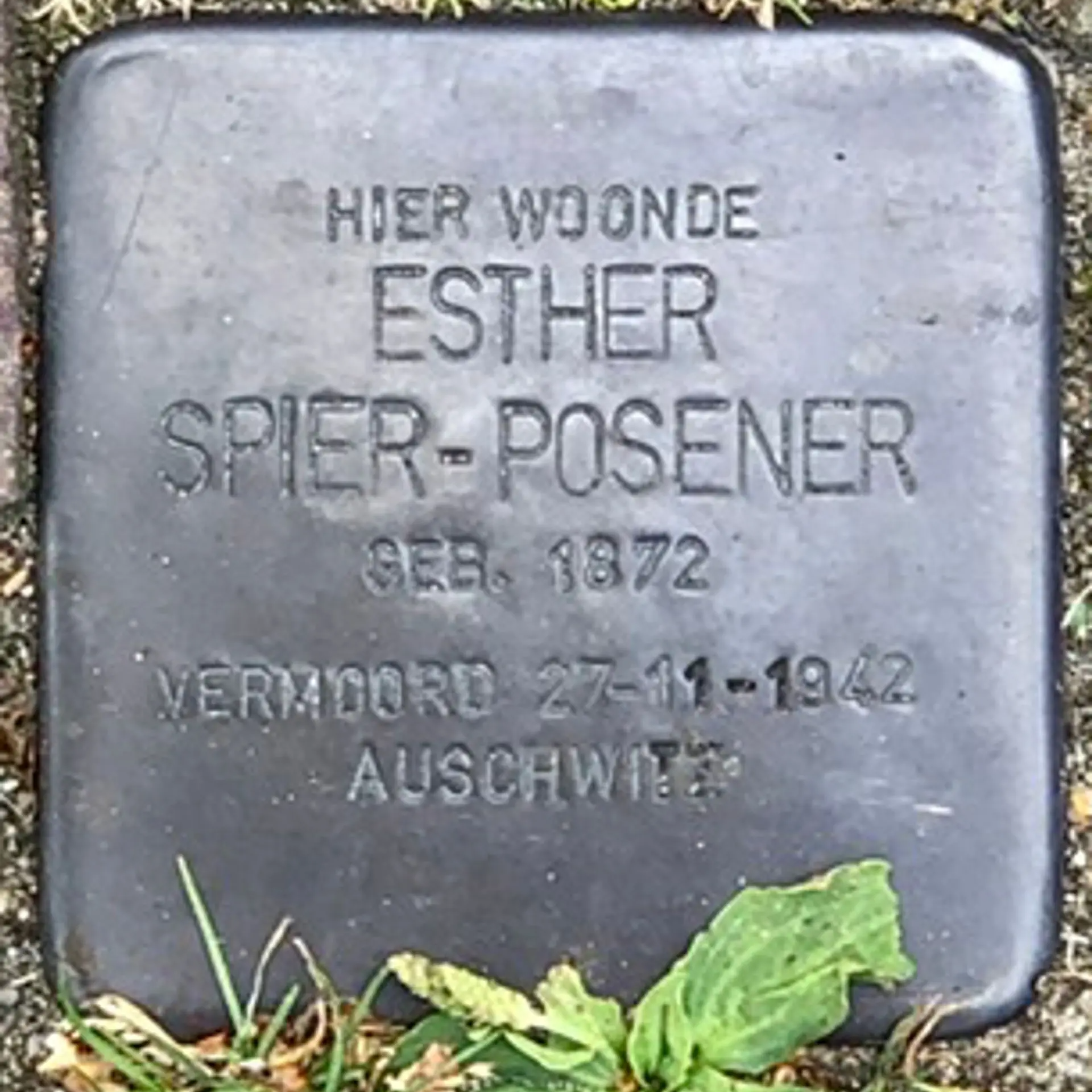 Struikelsteen voor Esther Spier-Posener