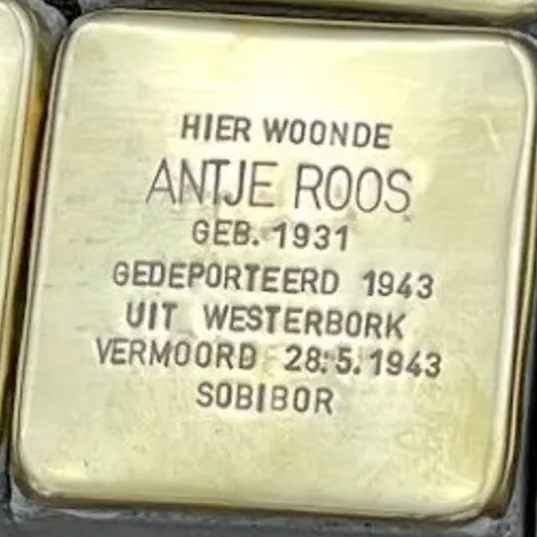 Struikelsteen voor Antje Roos