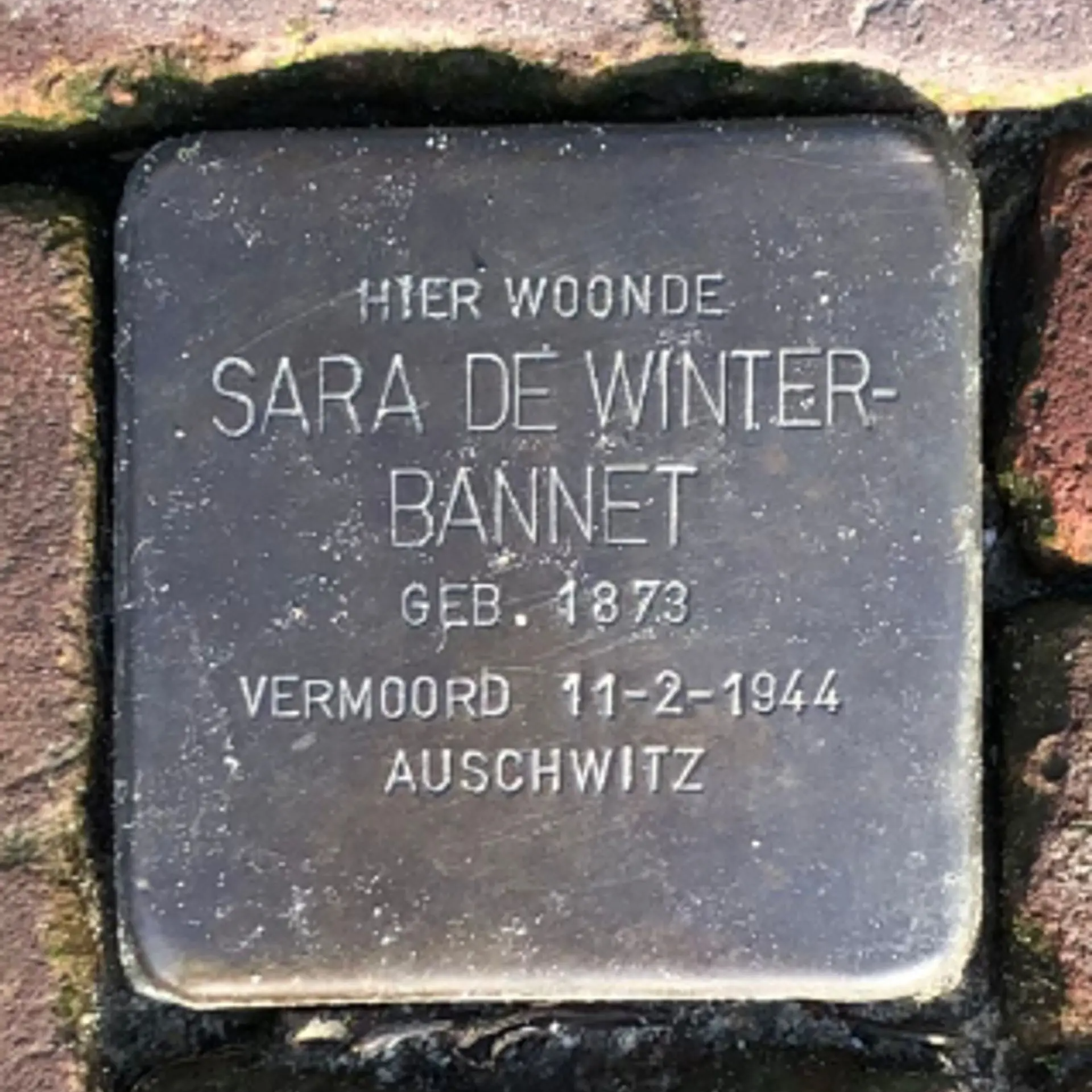 Struikelsteen voor Sara de Winter-Bannet