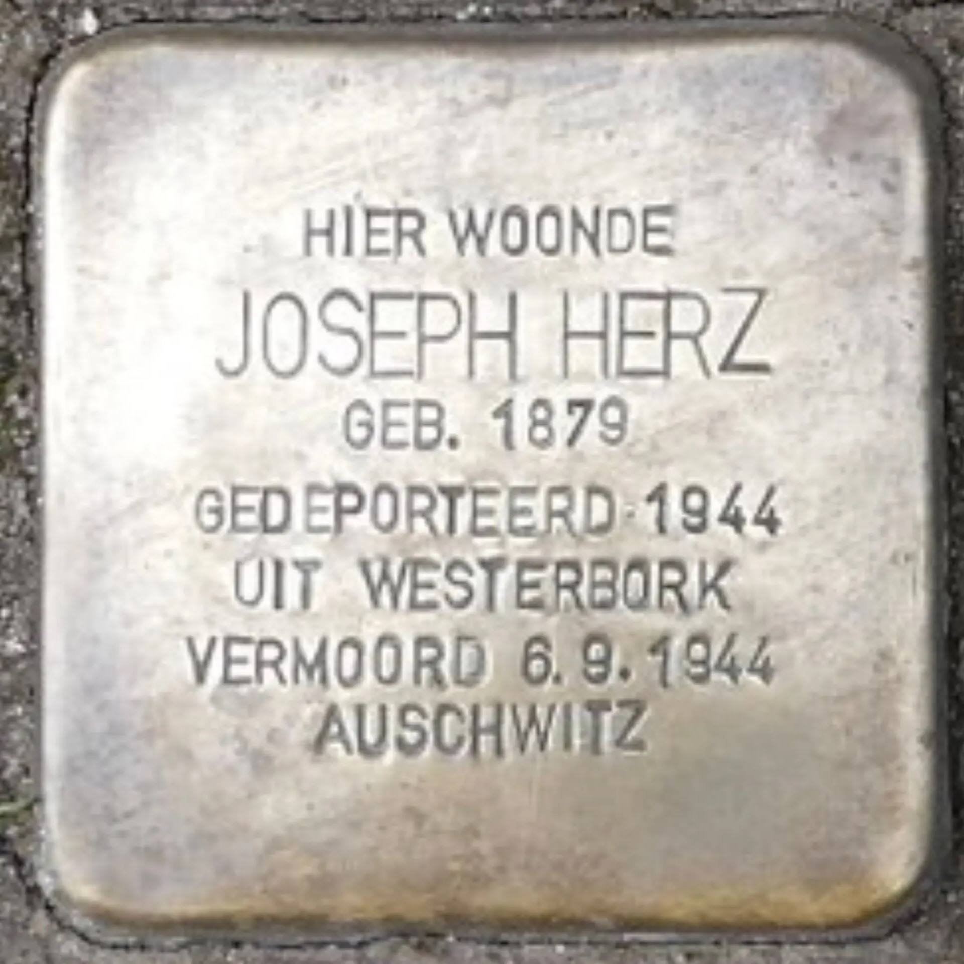 Struikelsteen voor Joseph Herz