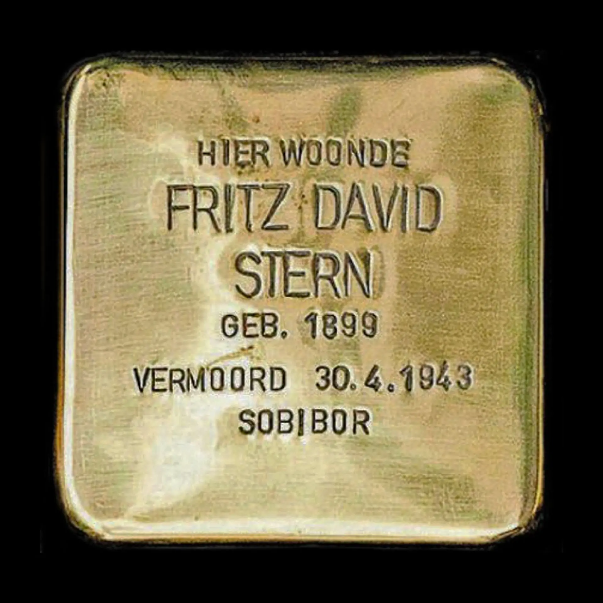 Struikelsteen voor Fritz David Stern