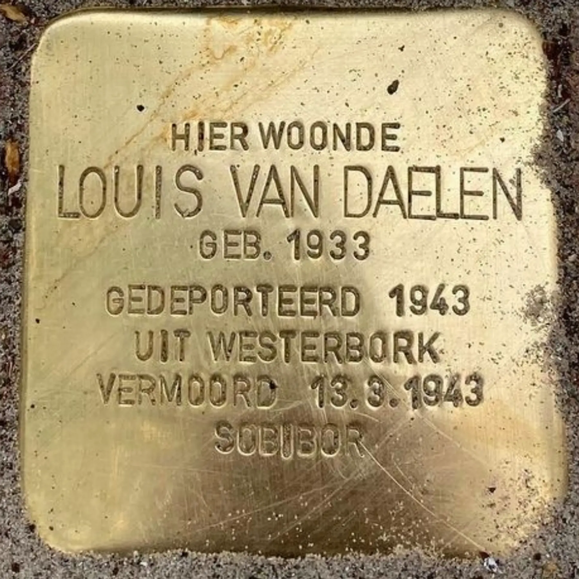Struikelsteen voor Louis Jean Simon van Daelen