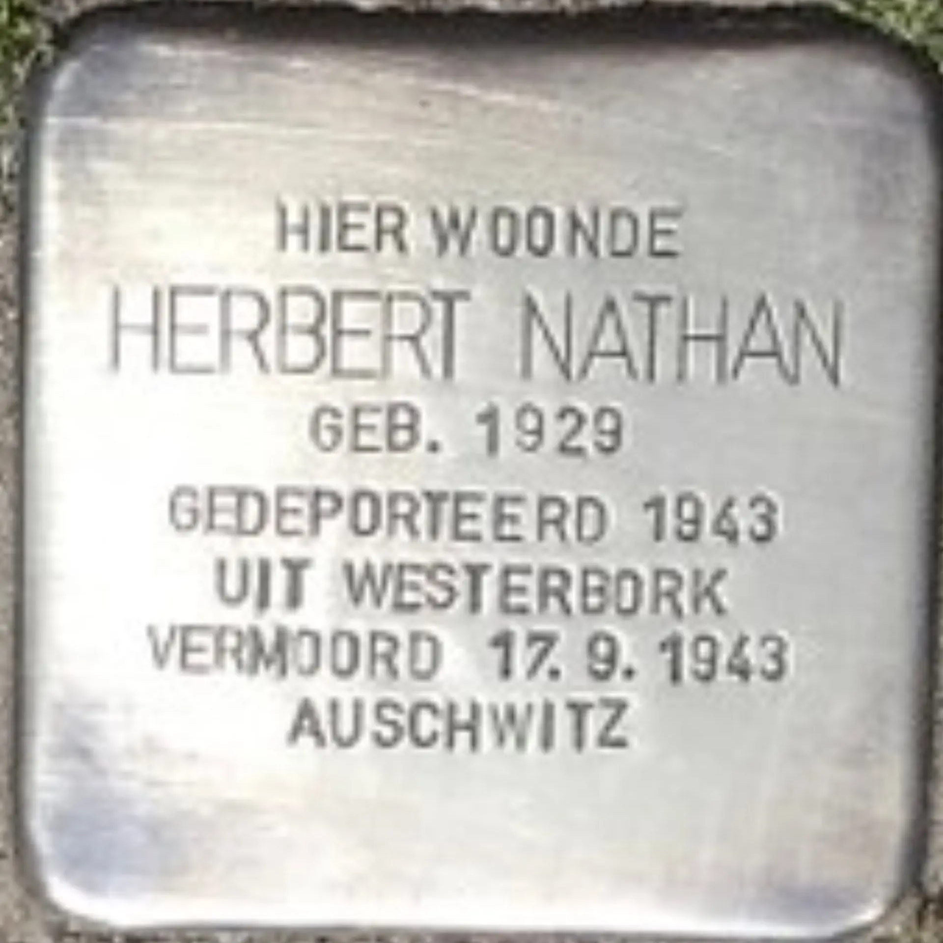 Struikelsteen voor Herbert Nathan