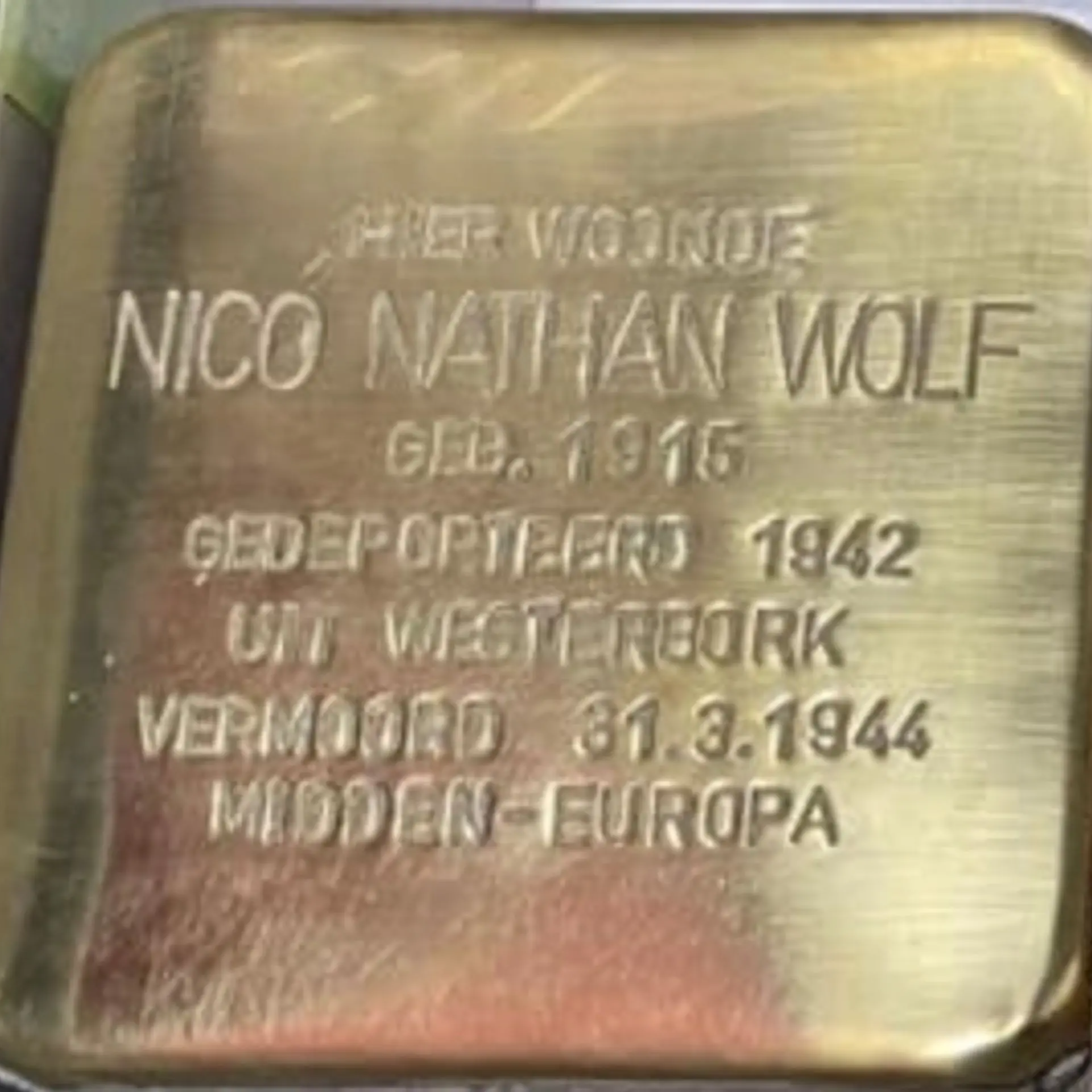 Struikelsteen voor Nico Nathan Wolf