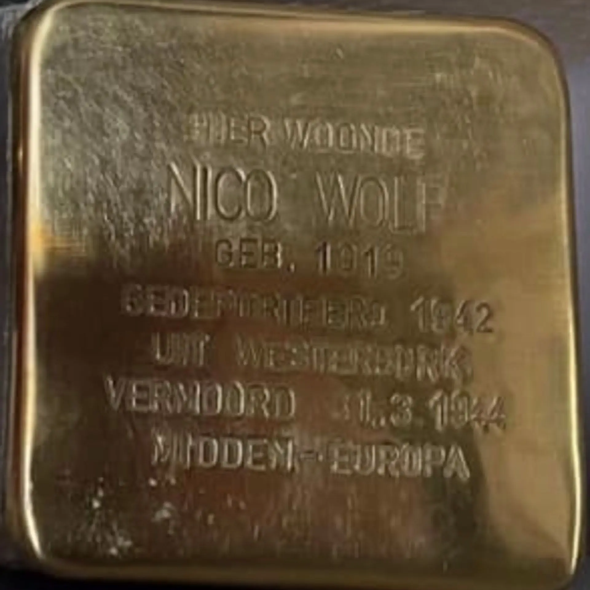 Struikelsteen voor Nico Wolf