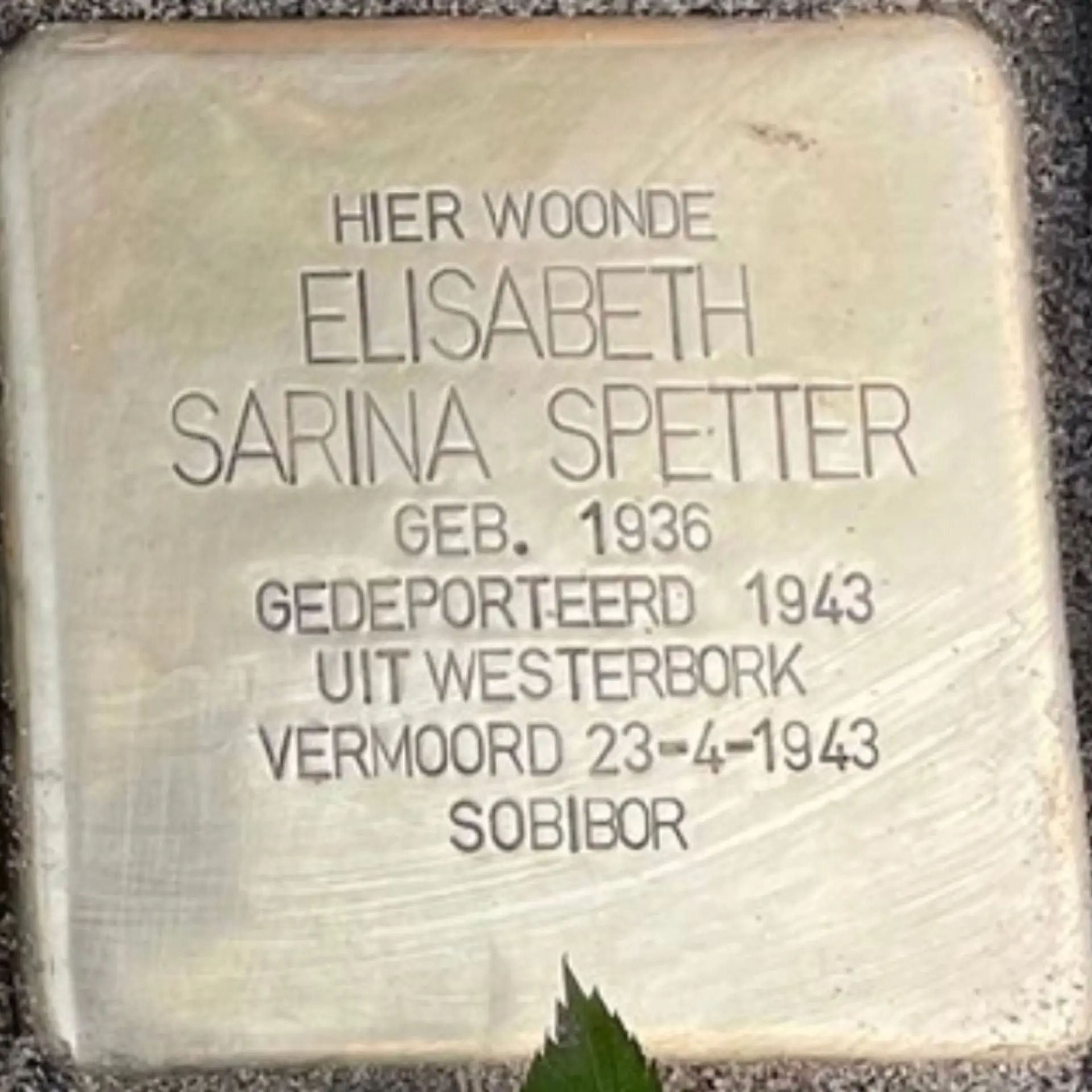 Struikelsteen voor Elisabeth Sarina Spetter