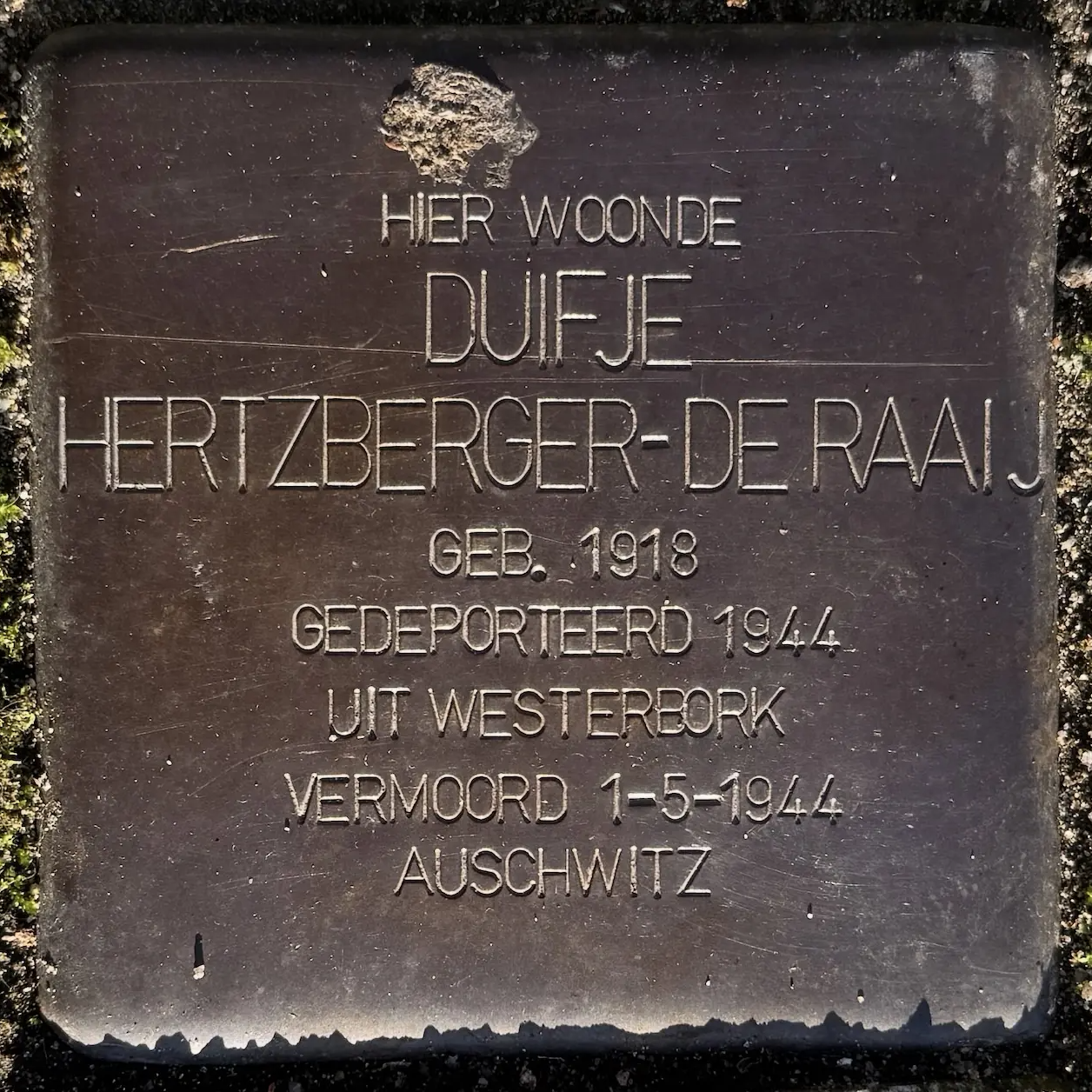 Struikelsteen voor Duifje Hertzberger-de Raaij