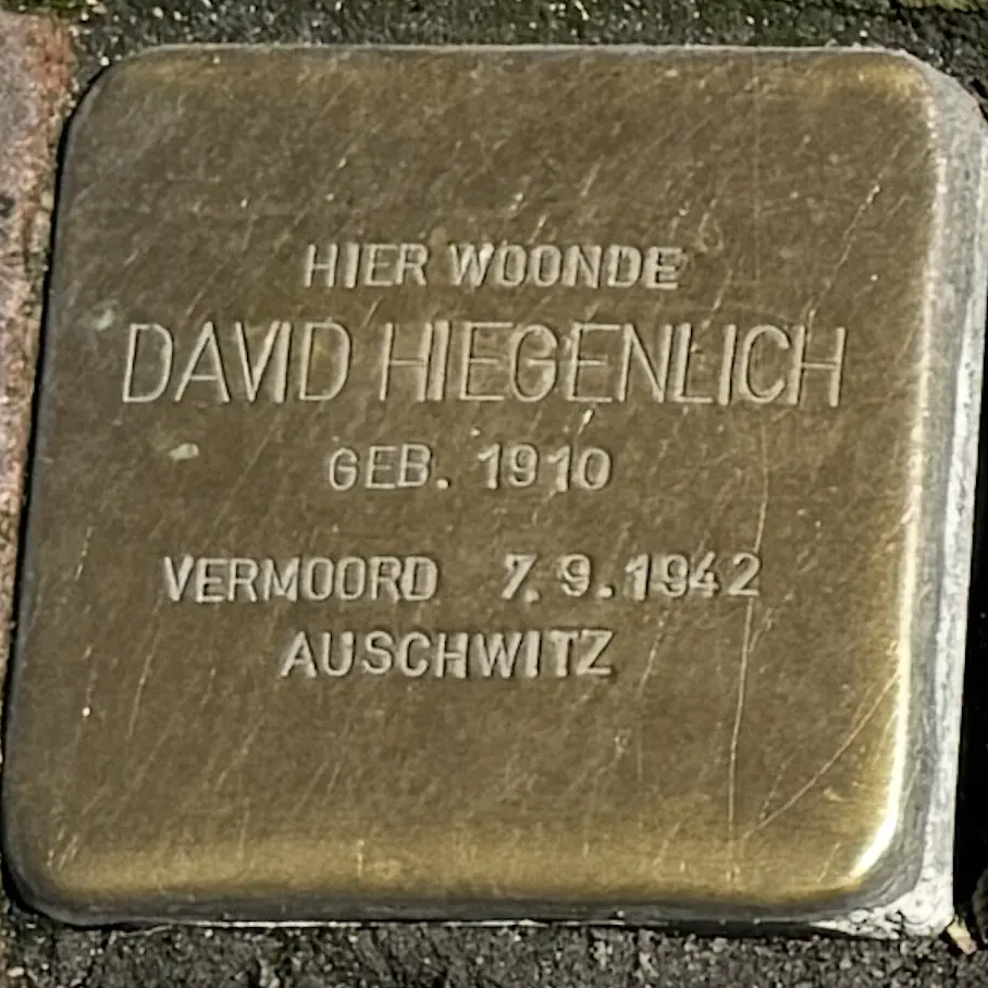 Struikelsteen voor David Hiegenlich