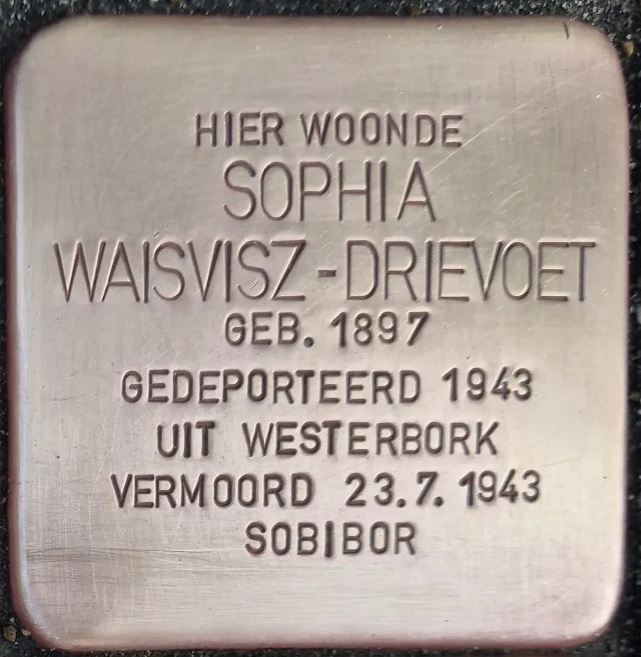 Struikelsteen voor Sophia Julia Waisvisz-Drievoet