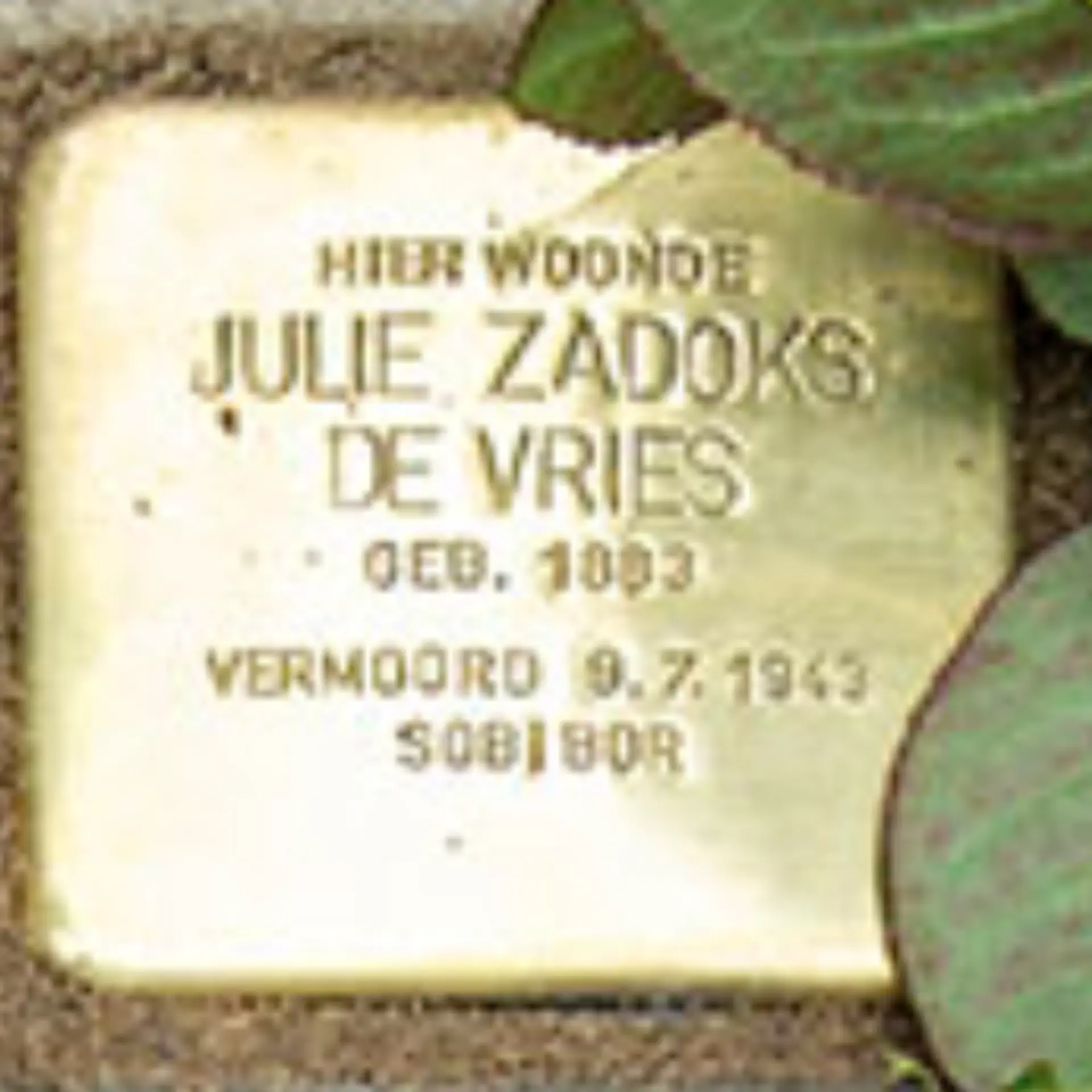 Struikelsteen voor Julie Zadoks-de Vries