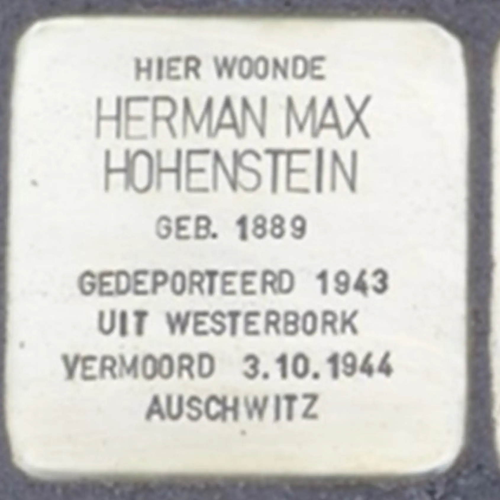 Struikelsteen voor Max Hermann Hohenstein