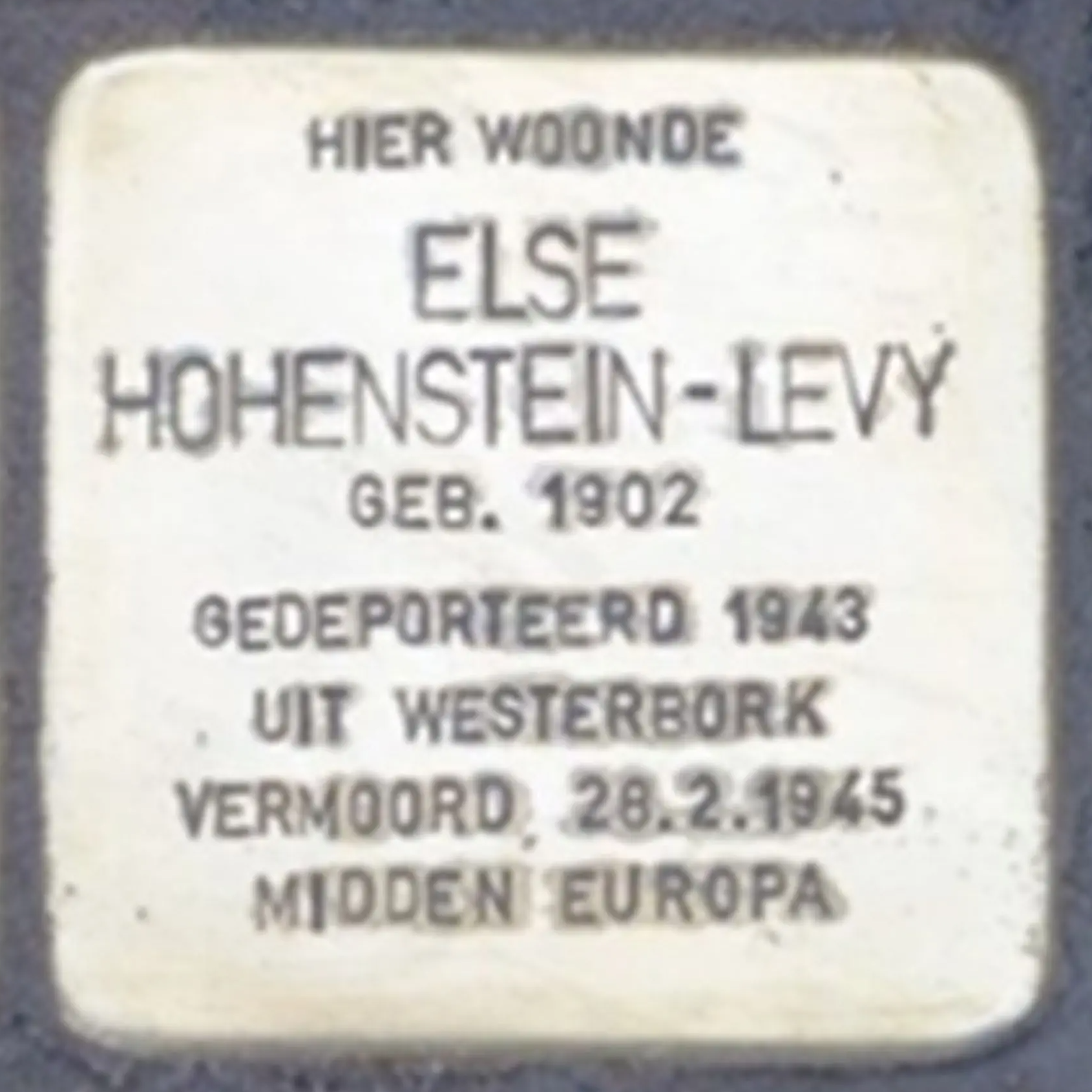 Struikelsteen voor Else Hohenstein-Levy