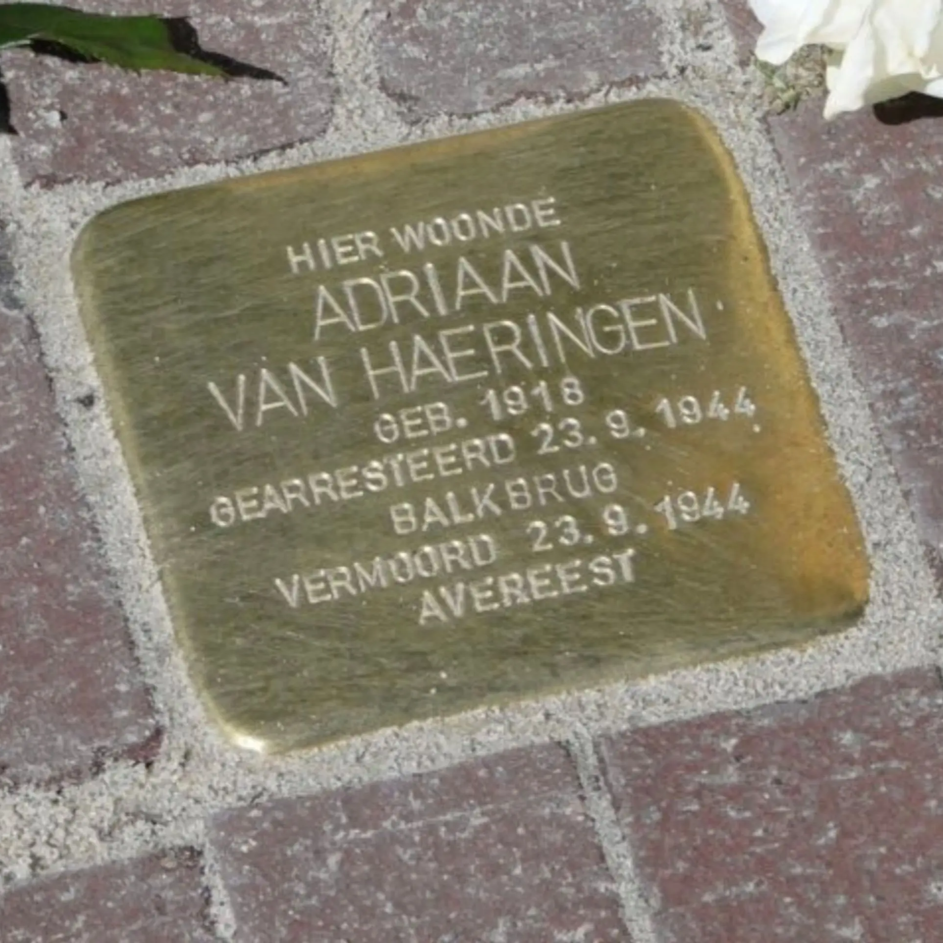 Struikelsteen voor Adriaan van Haeringen