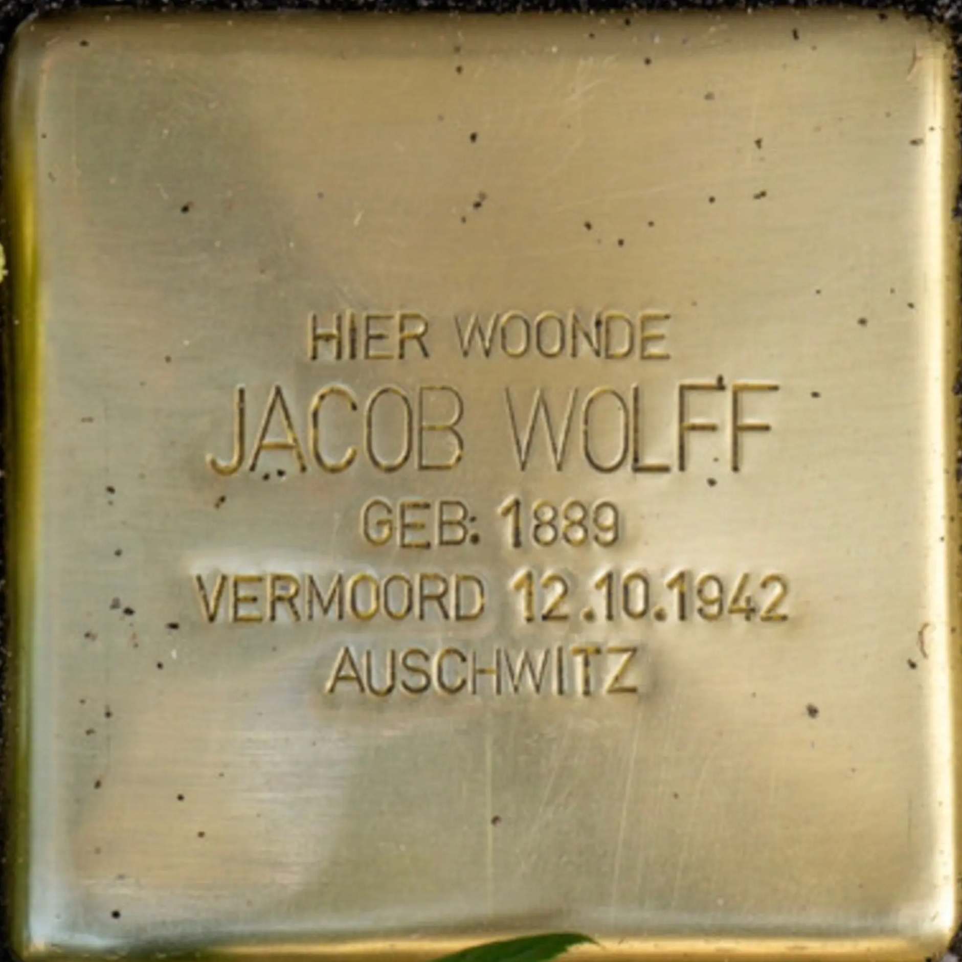 Struikelsteen voor Jacob Wolff
