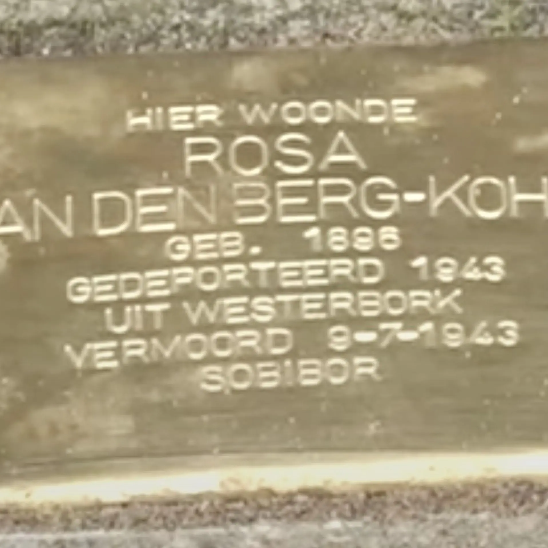 Struikelsteen voor Rosa van den Berg-Kohn