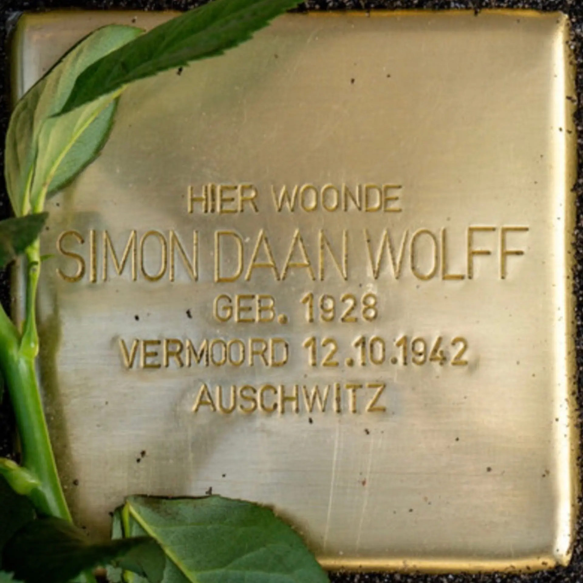 Struikelsteen voor Simon Daan Wolff