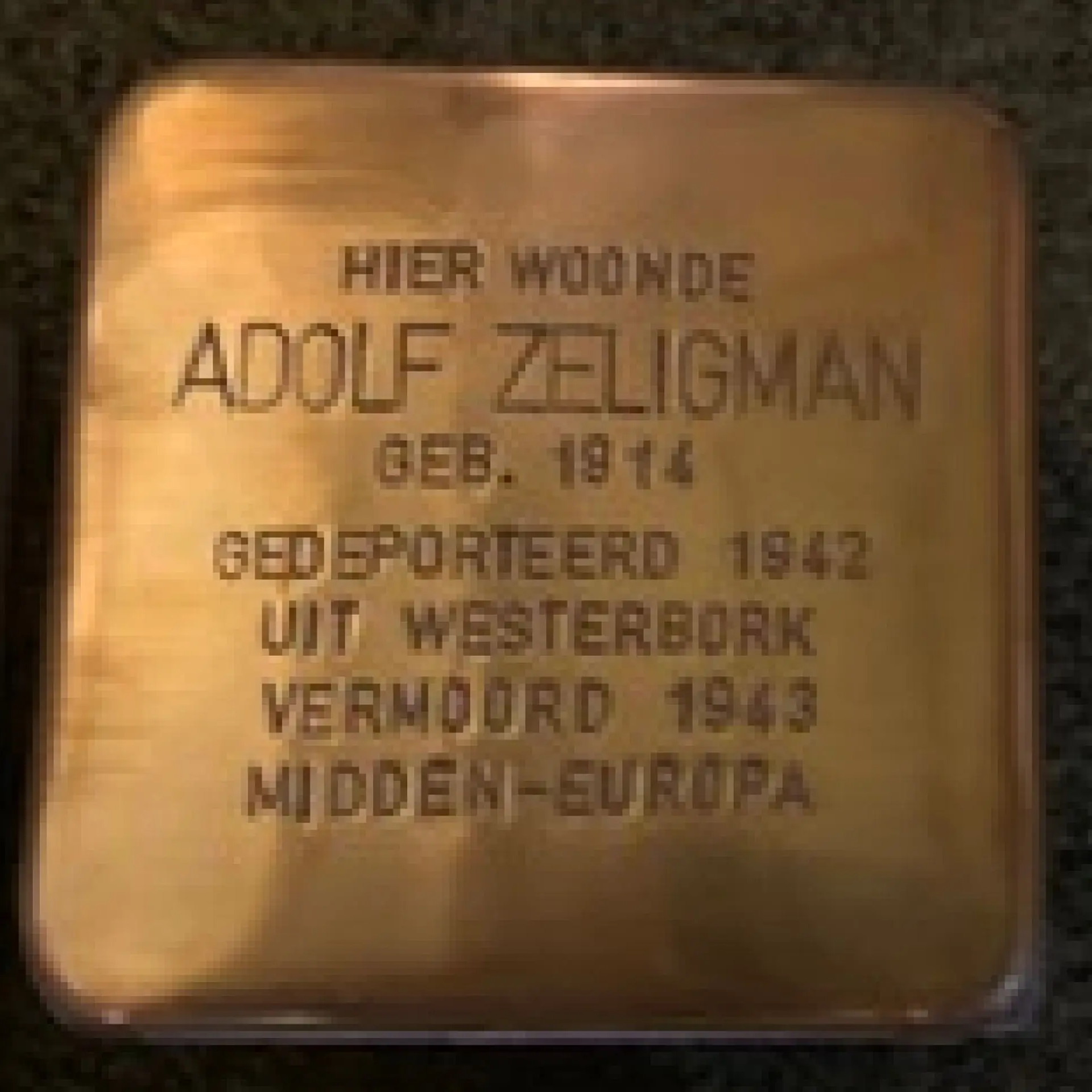 Struikelsteen voor Adolf Zeligman