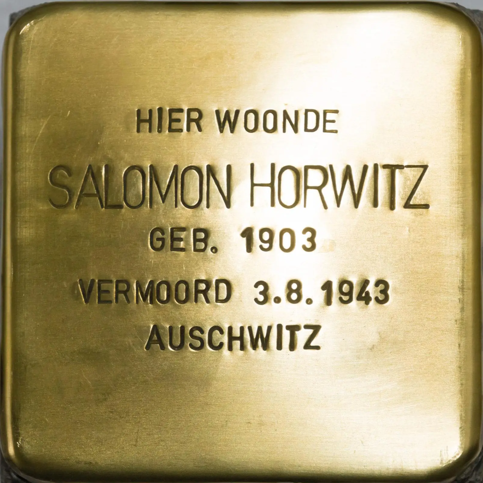 Struikelsteen voor Salomon Horwitz