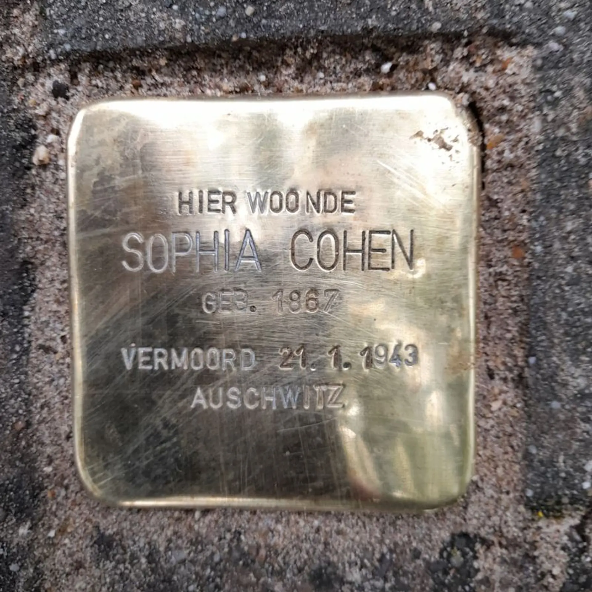 Struikelsteen voor Sophia Cohen-Wolf