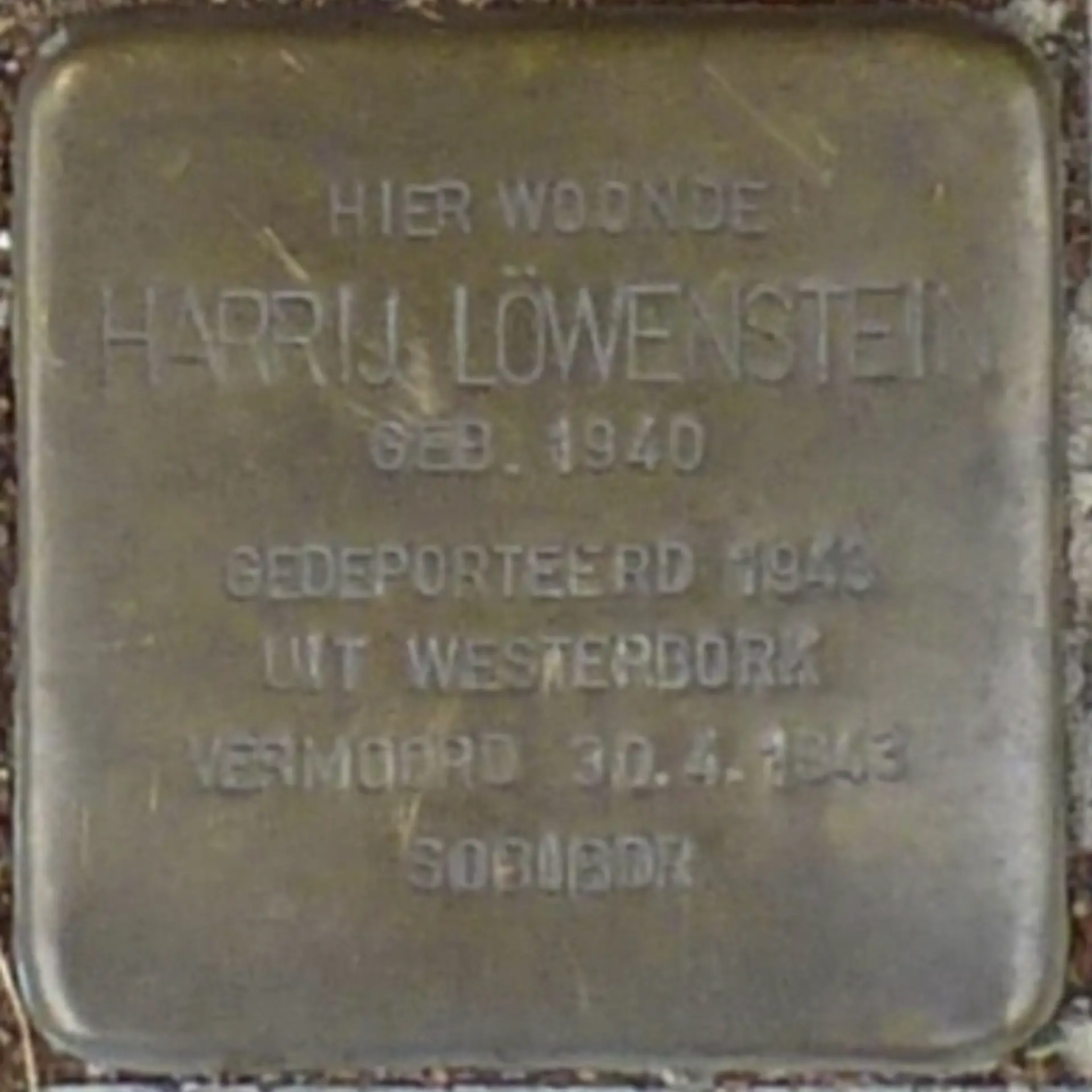 Struikelsteen voor Harrij Manfred Löwenstein