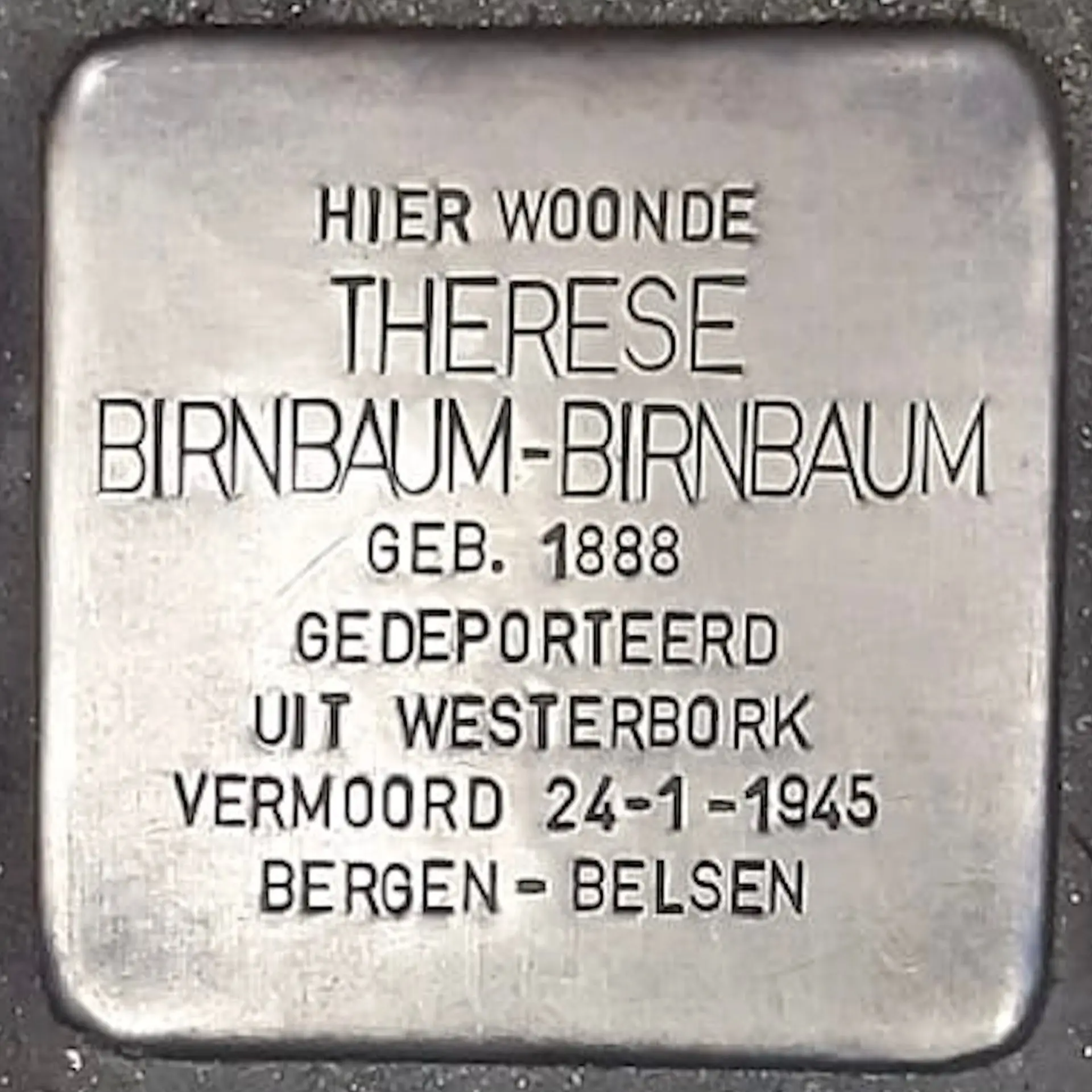 Struikelsteen voor Therese Birnbaum-Birnbaum
