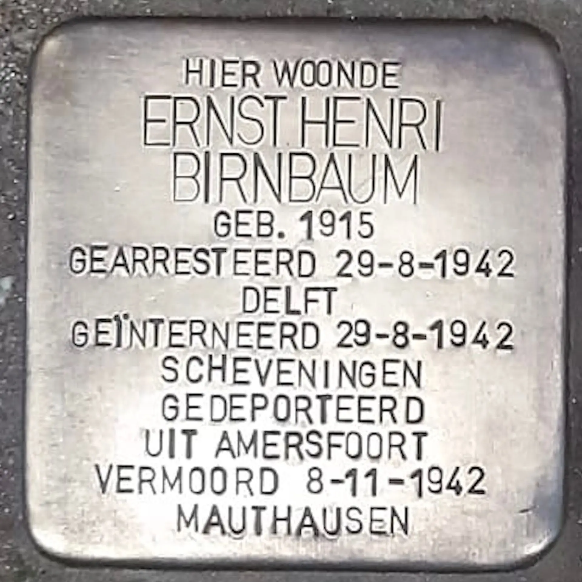 Struikelsteen voor Ernst Henri Birnbaum