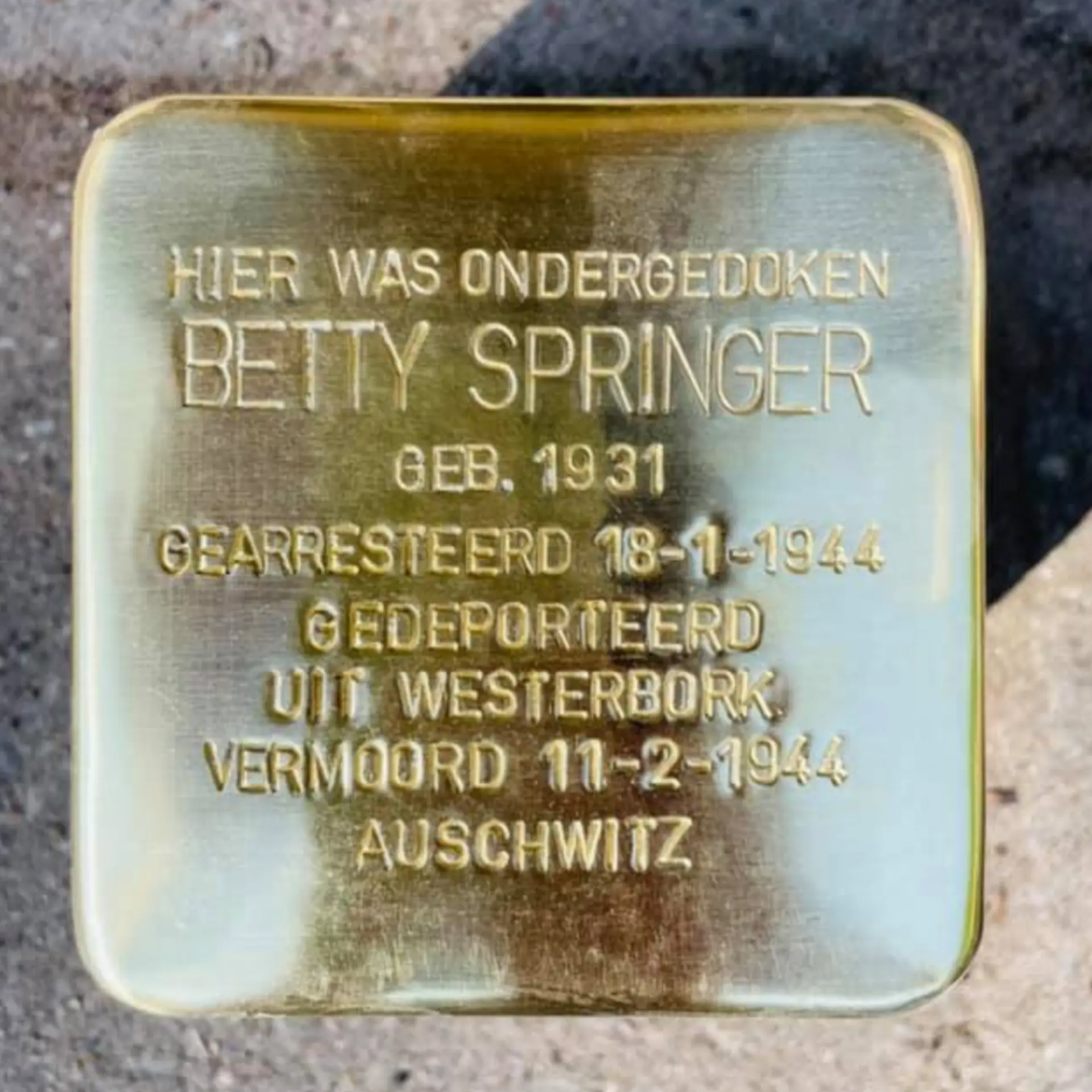 Struikelsteen voor Betty Springer