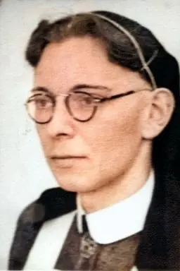 Portret van Hessel van der Zee