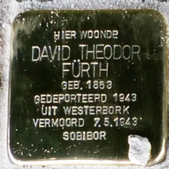Struikelsteen voor David Theodor Fürth