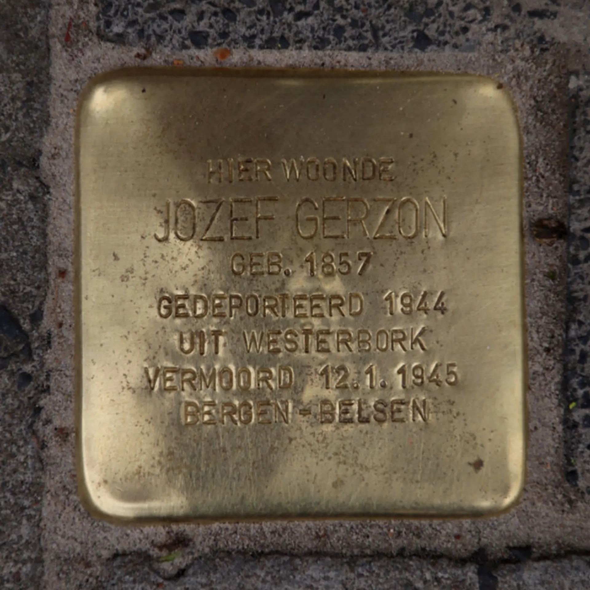 Struikelsteen voor Jozef Gerzon