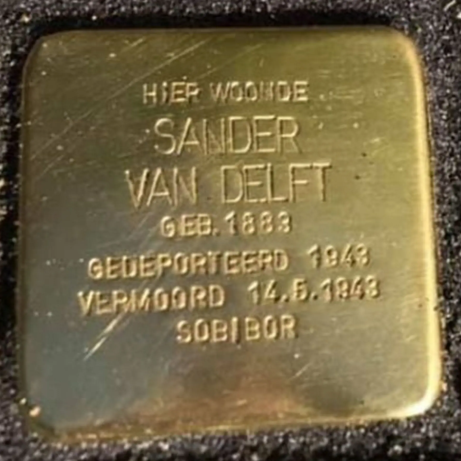 Struikelsteen voor Sander van Delft