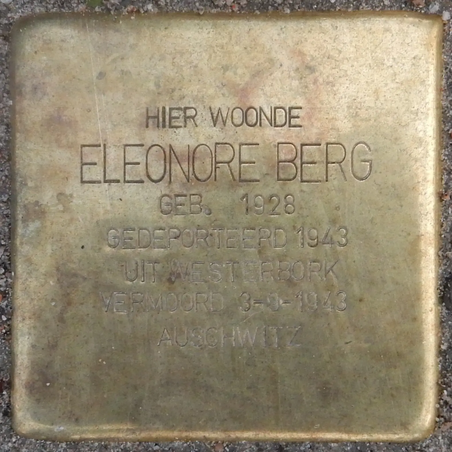 Struikelsteen voor Eleonore Berg