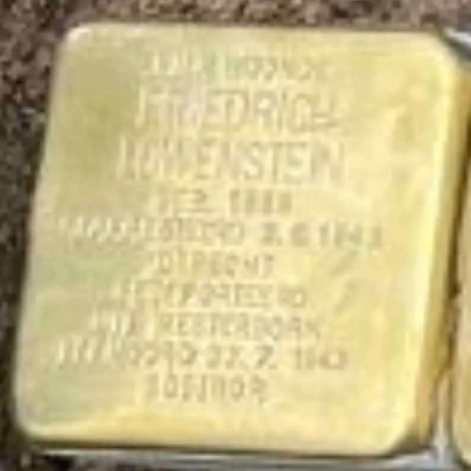 Struikelsteen voor Friedrich Löwenstein