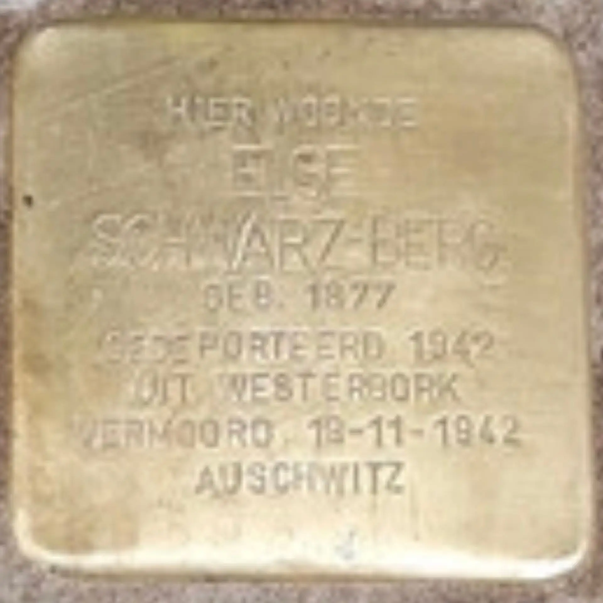 Struikelsteen voor Else Schwarz-Berg