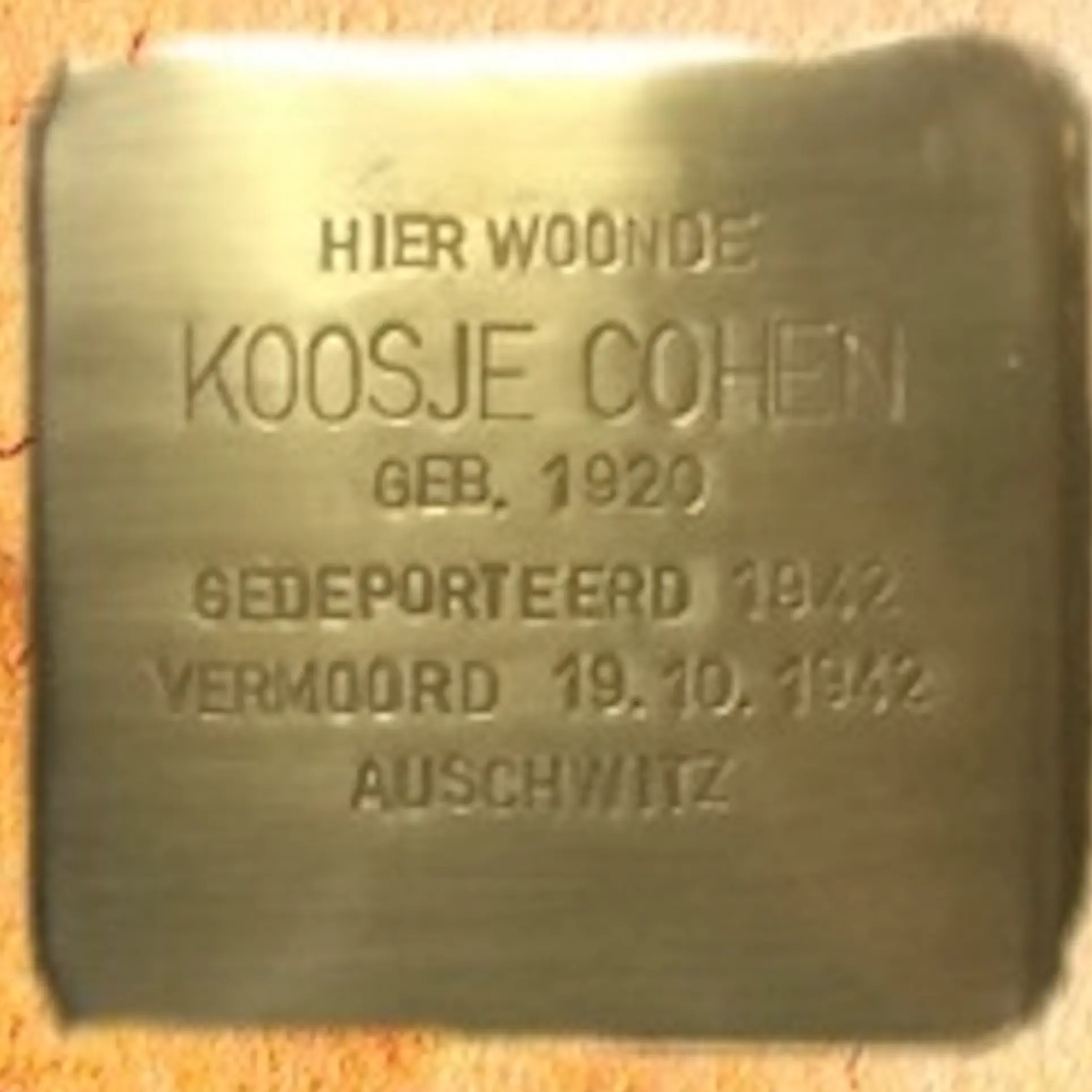 Struikelsteen voor Koosje Cohen