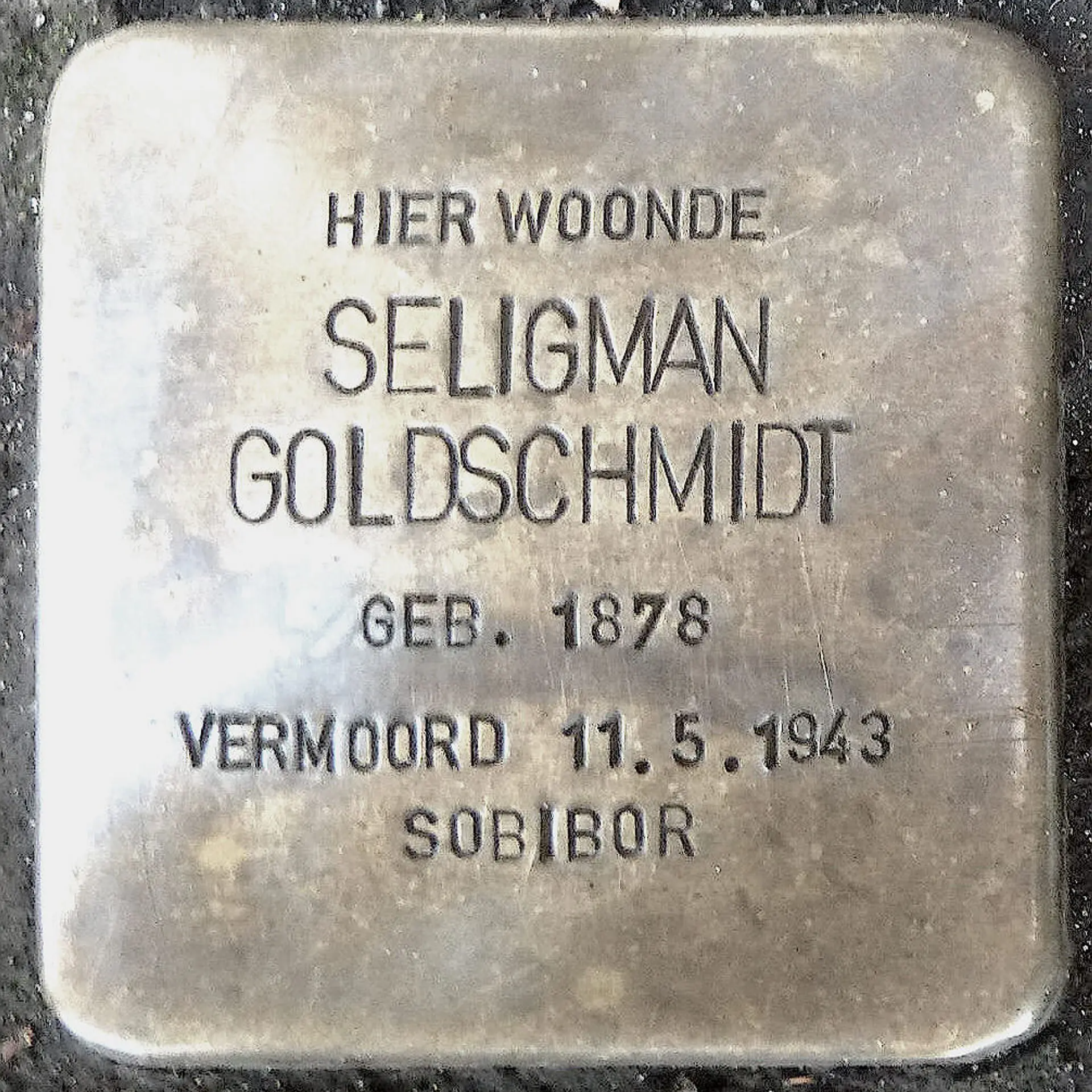 Struikelsteen voor Seligman Goldschmidt