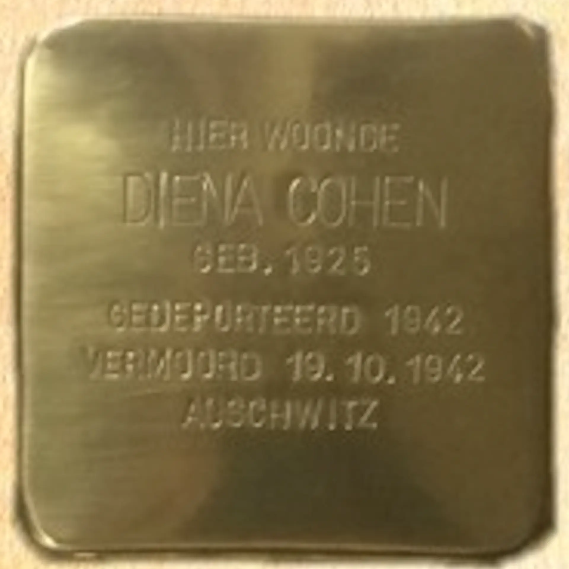Struikelsteen voor Diena Cohen