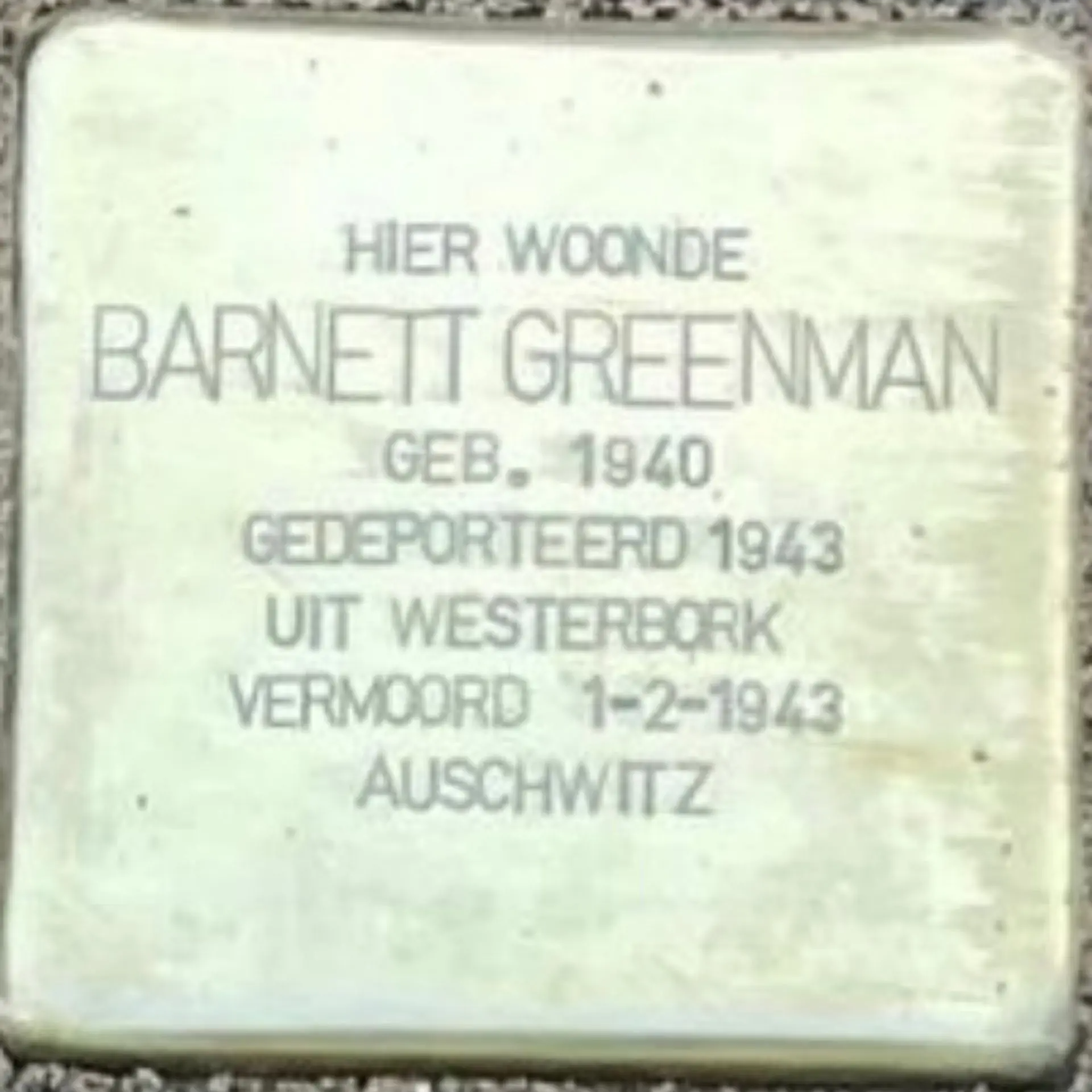 Struikelsteen voor Barnett Greenman