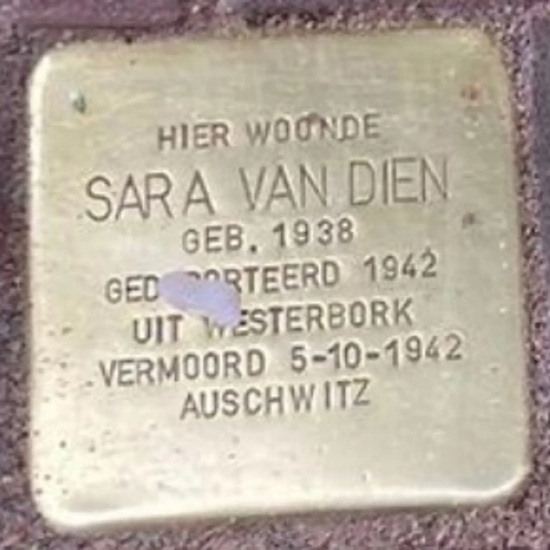 Struikelsteen voor Sara van Dien