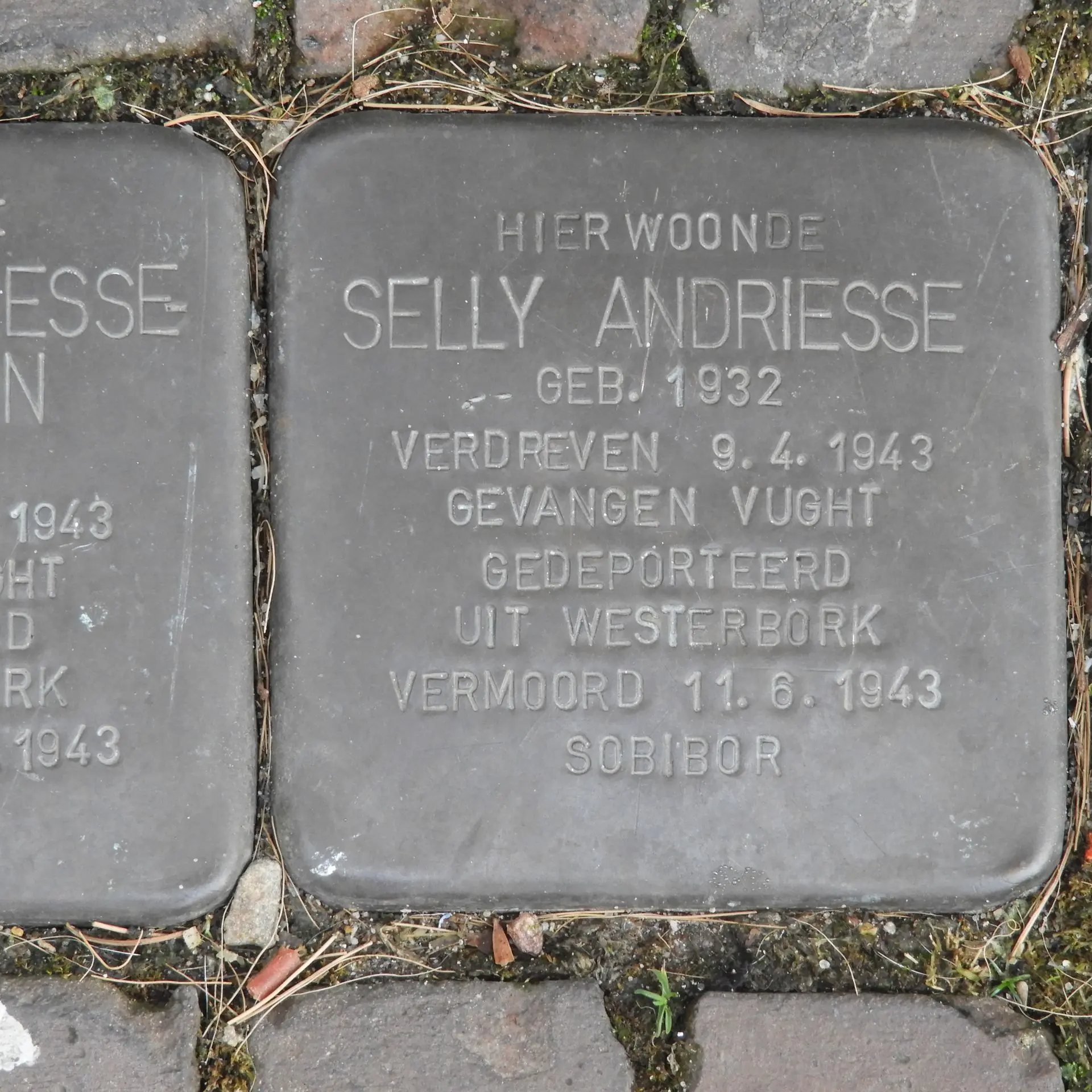 Struikelsteen voor Selly Andriesse