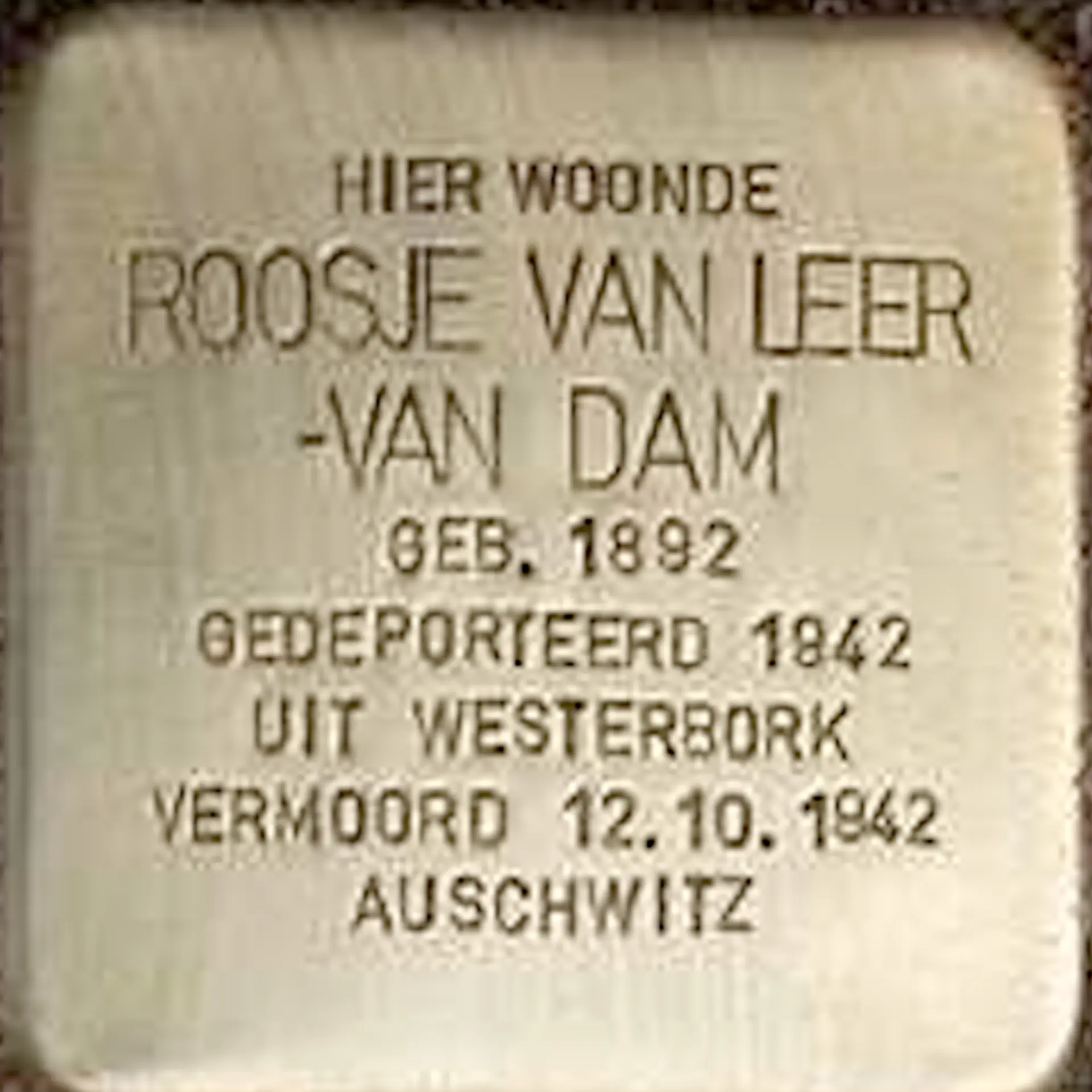 Struikelsteen voor Roosje van Leer-van Dam