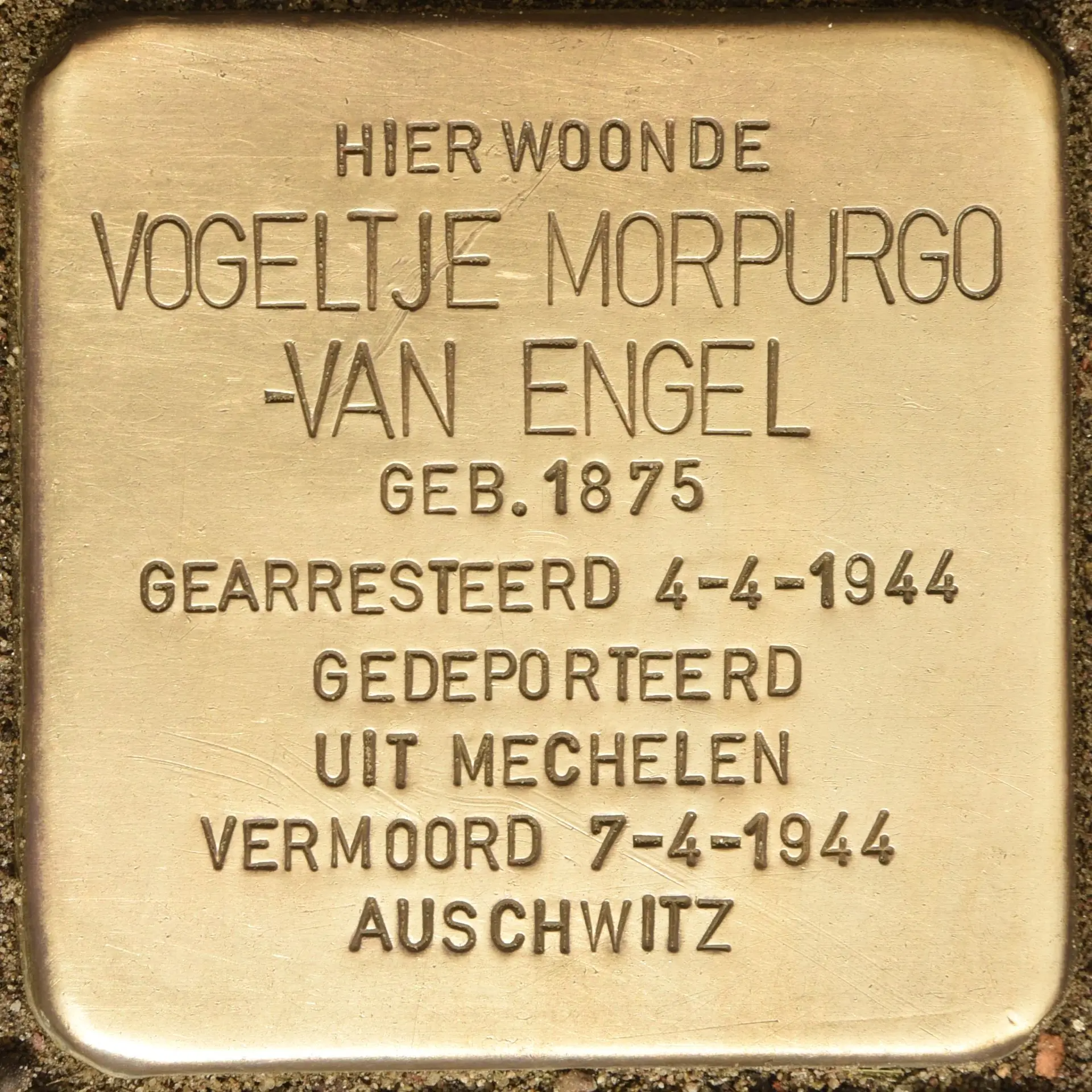Struikelsteen voor Vogeltje Morpurgo-van Engel