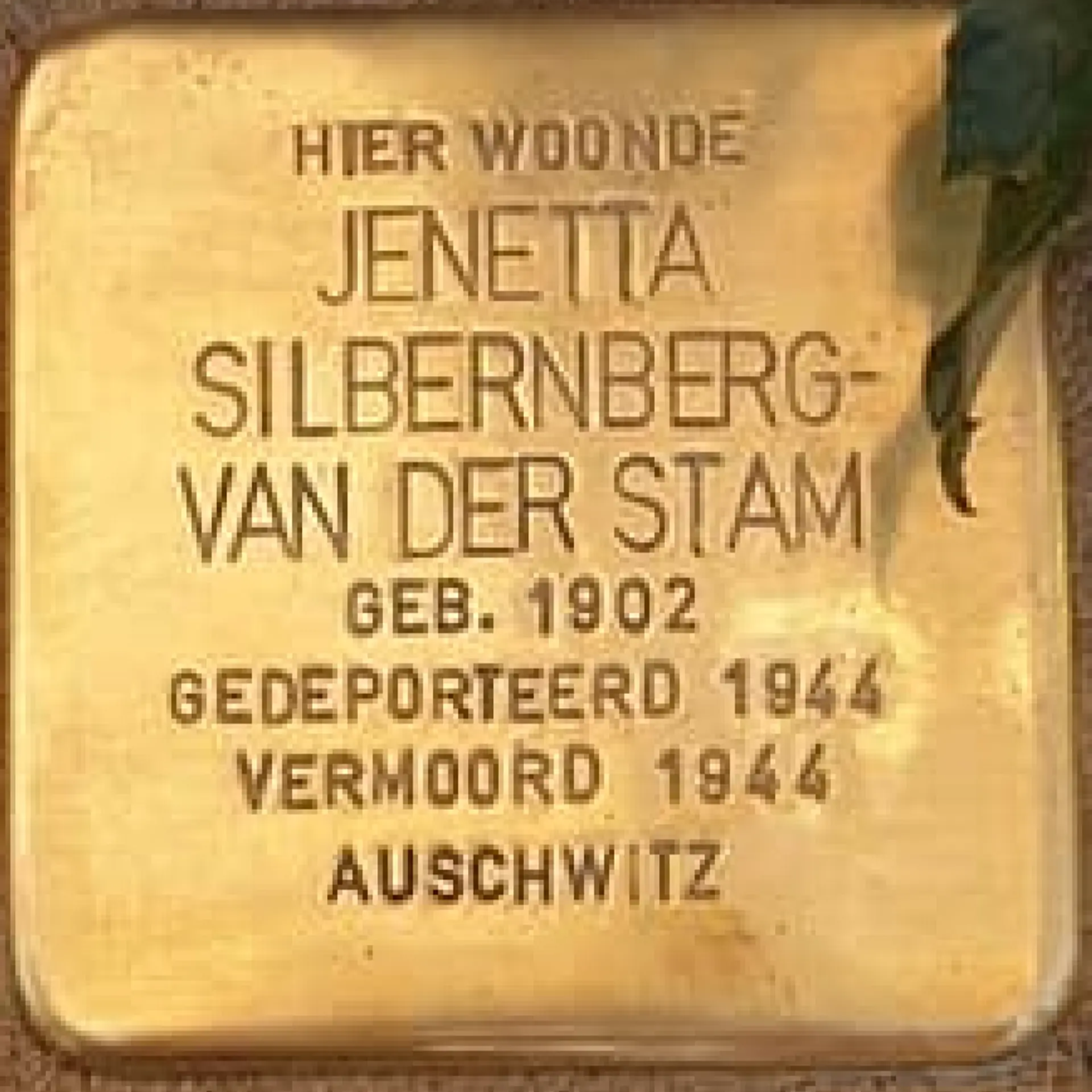 Struikelsteen voor Jenetta Silbernberg-van der Stam