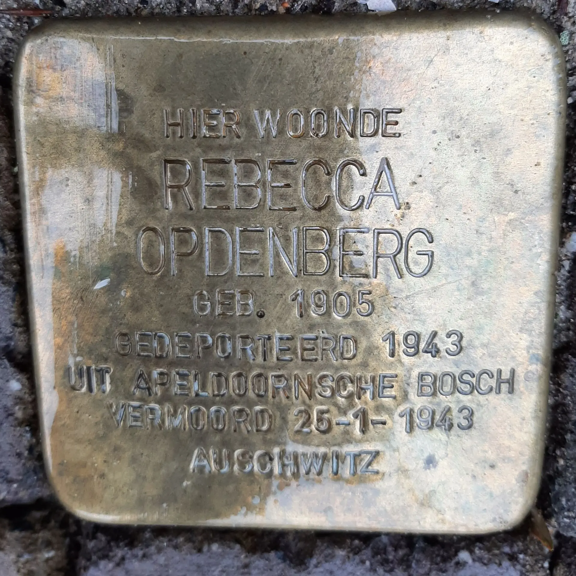 Struikelsteen voor Rebecca Opdenberg