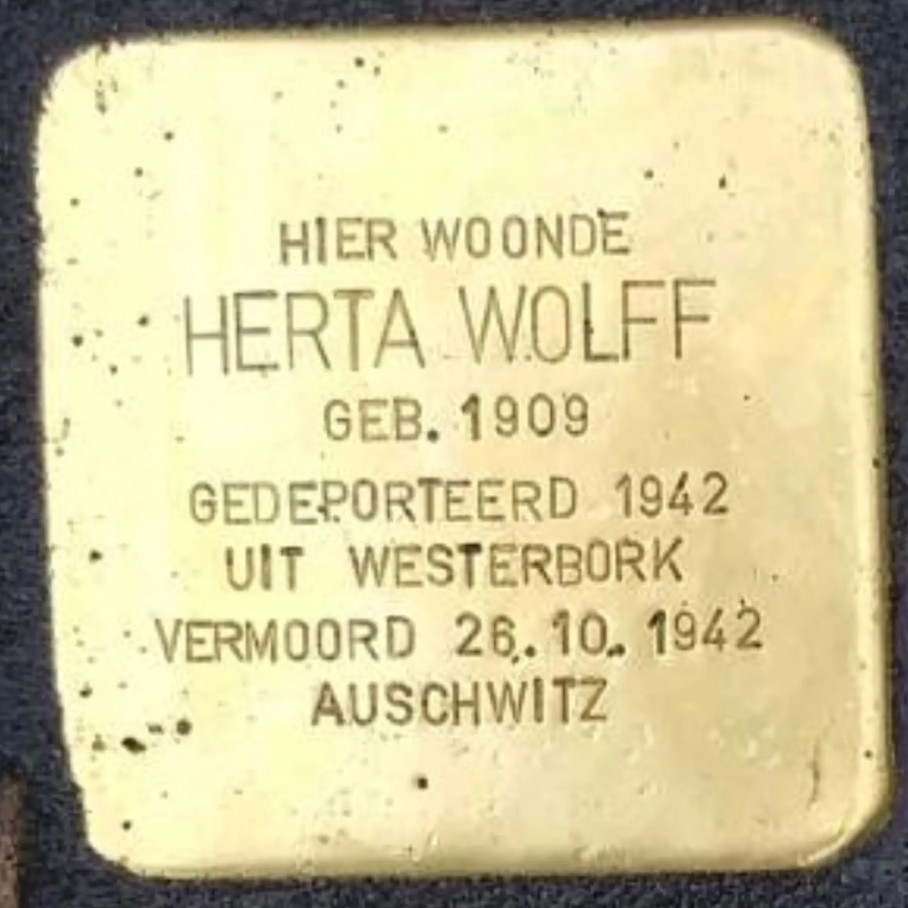 Struikelsteen voor Herta ter Berg-Wolff